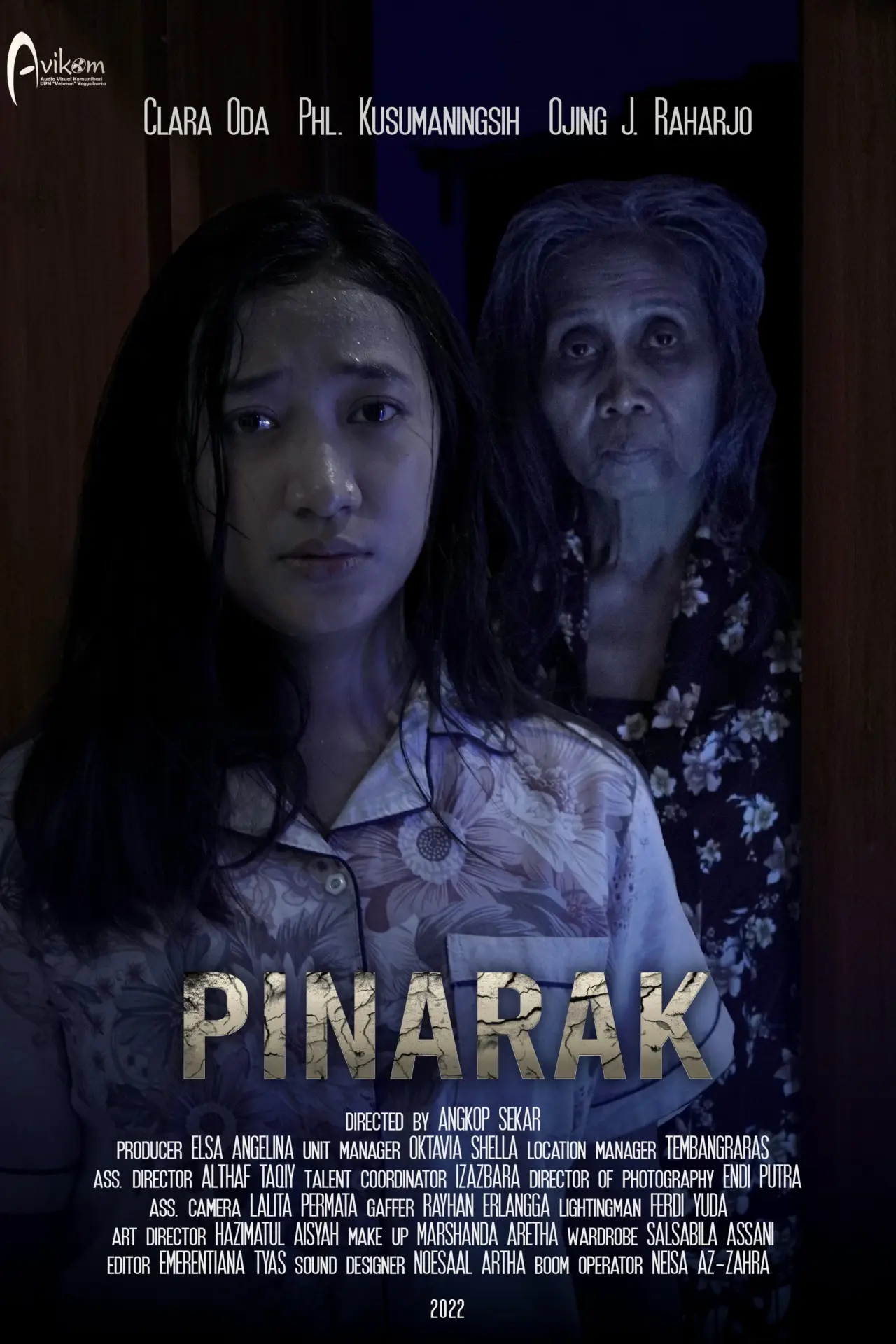 Постер к фильму "Pinarak"
