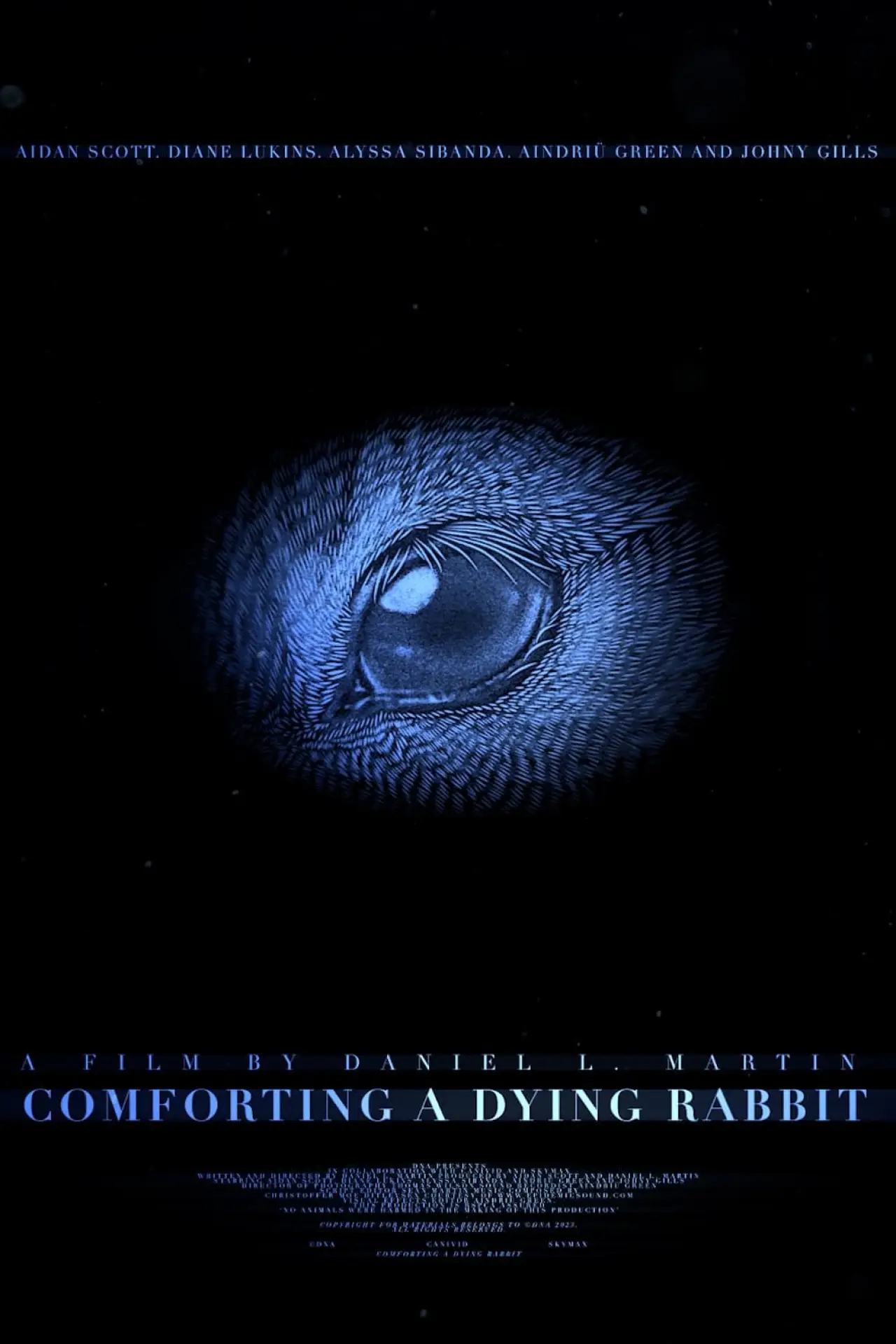 Постер к фильму "Comforting A Dying Rabbit"
