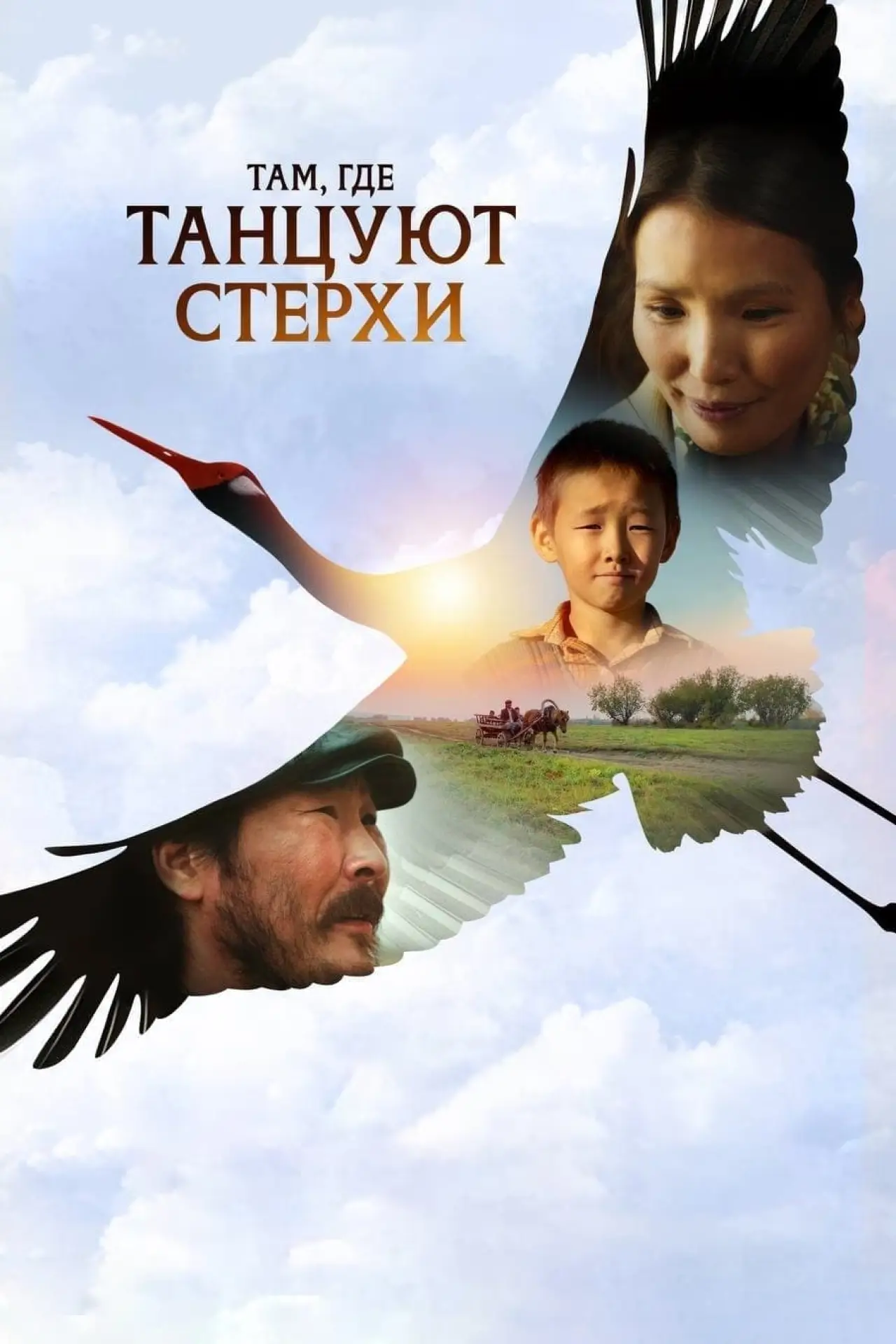 Постер к фильму "Там, где танцуют стерхи"