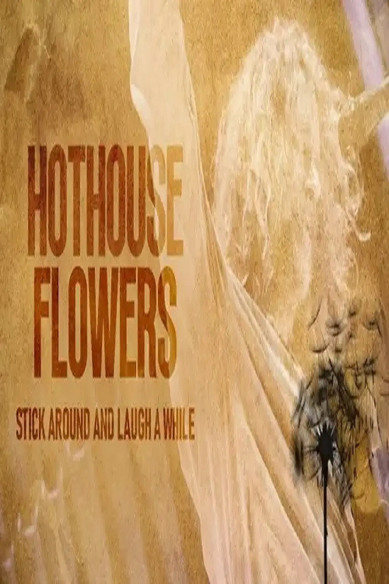 Постер к фильму "Hothouse Flowers: Stick Around and Laugh a While"