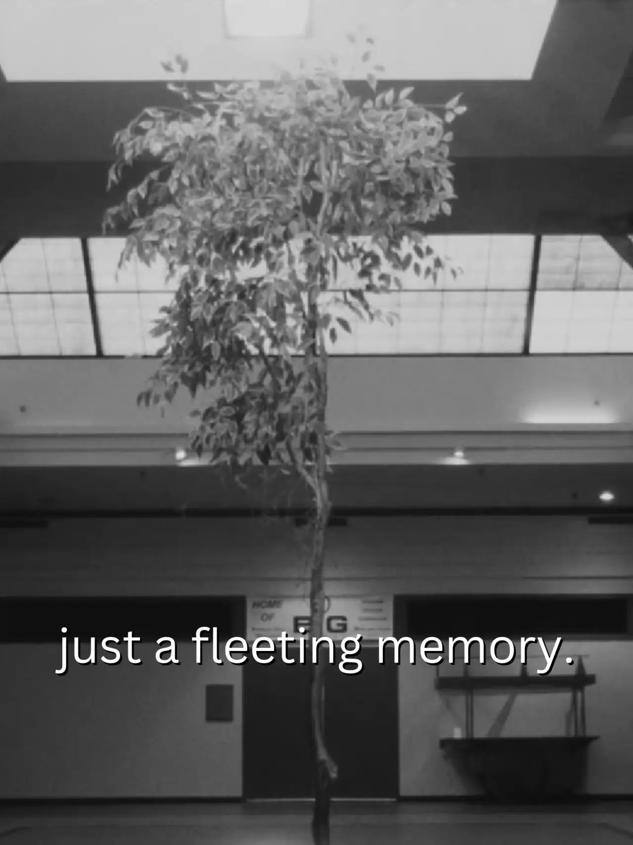Постер к фильму "just a fleeting memory."