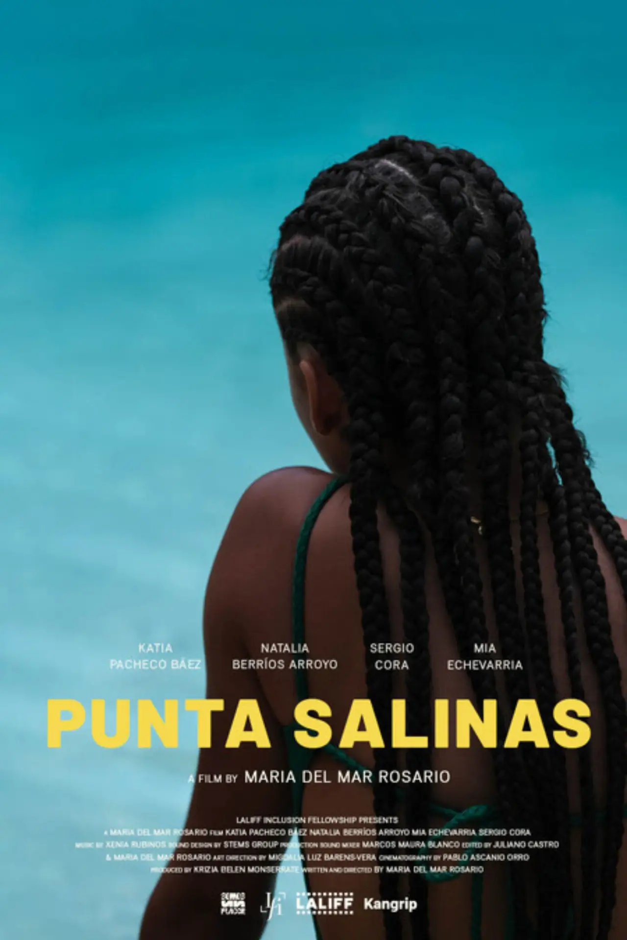 Постер к фильму "Punta Salinas"