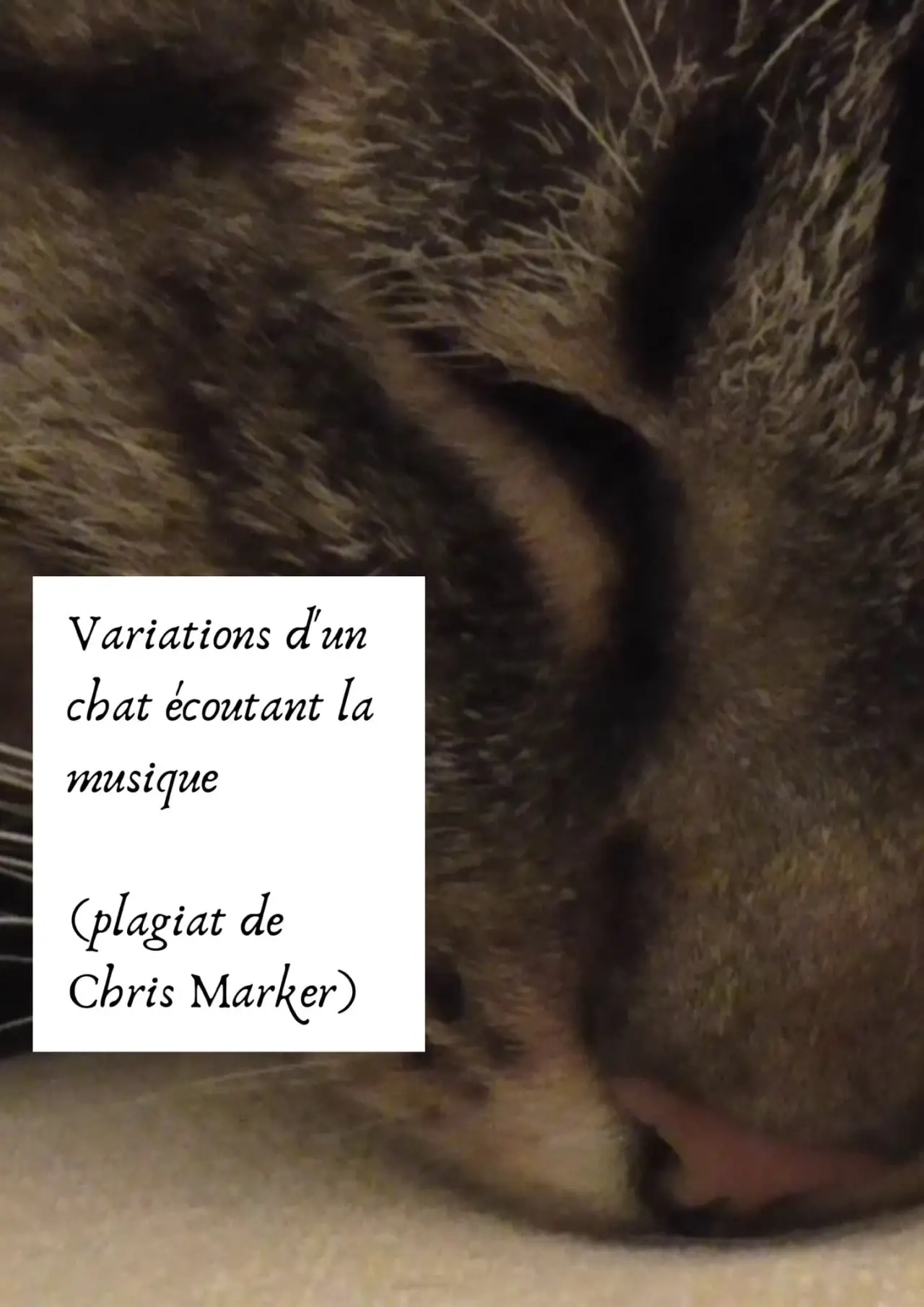 Постер к фильму "Variations d’un chat écoutant la musique (plagiat de Chris Marker)"
