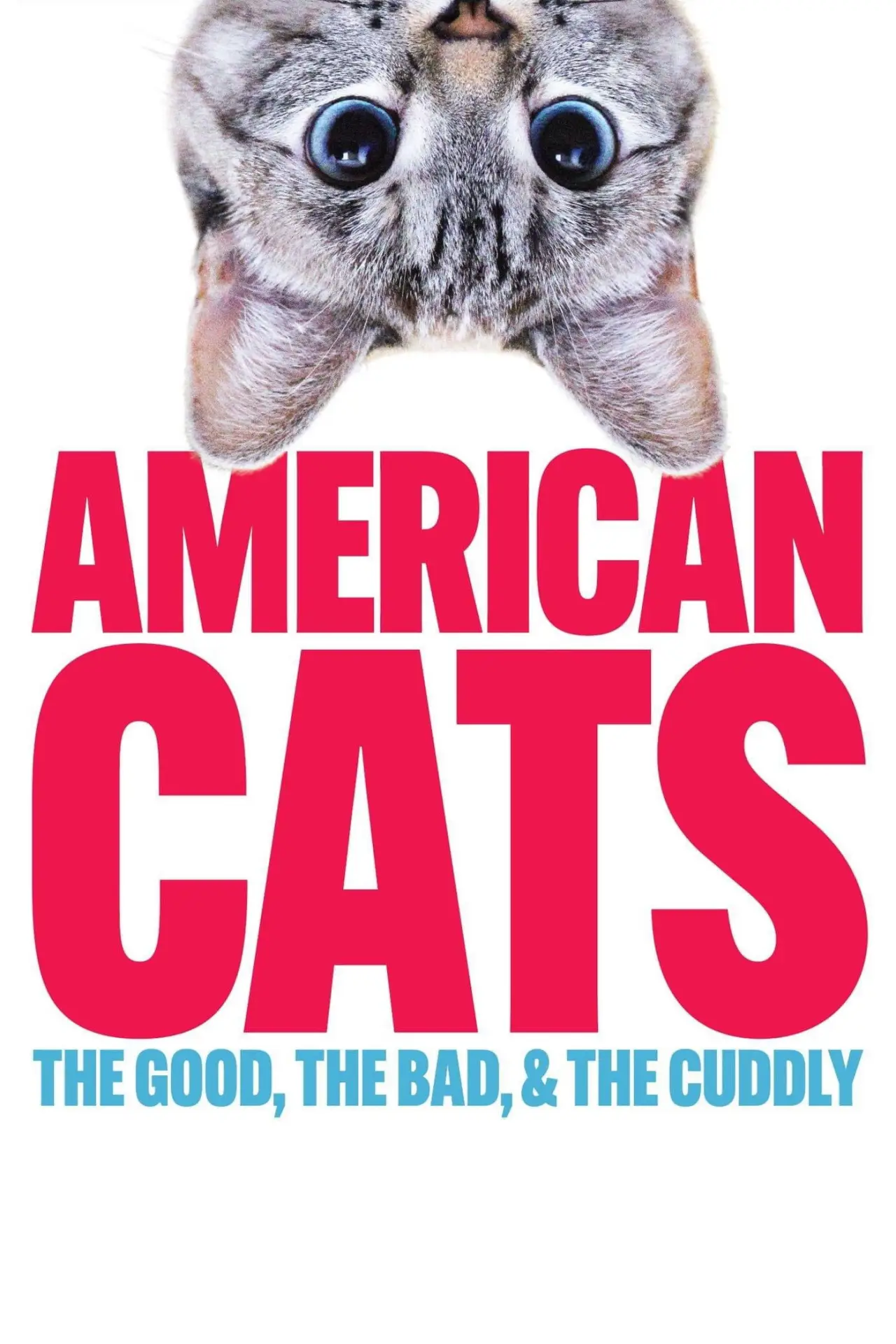 Постер к фильму "American Cats: The Good, the Bad, and the Cuddly"