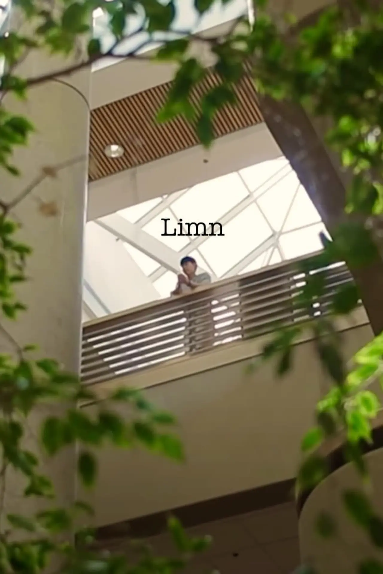 Постер к фильму "Limn"