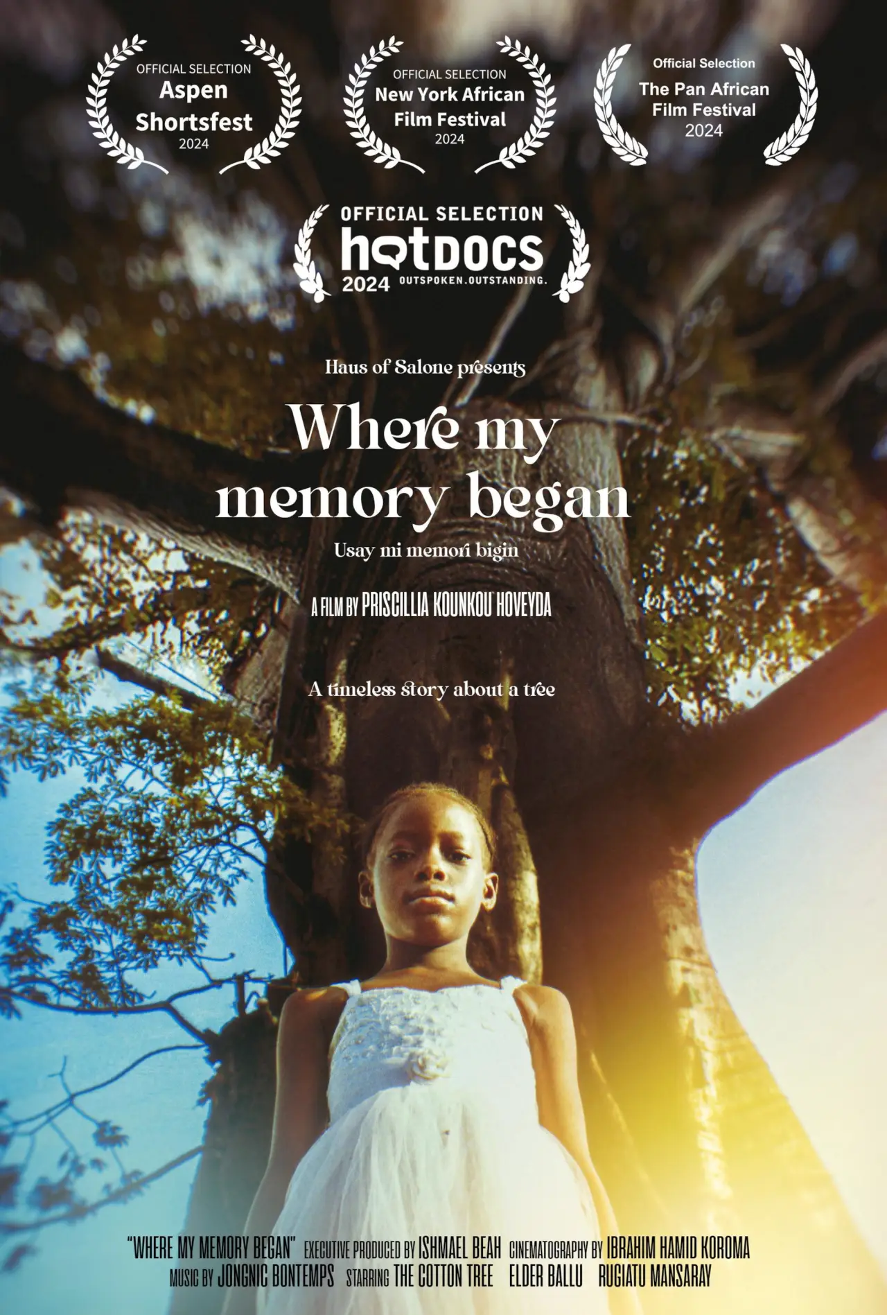 Постер к фильму "Where My Memory Began"