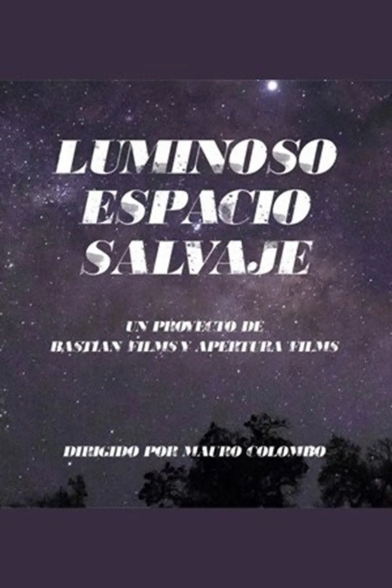 Постер к фильму "Wild Gleaming Space"