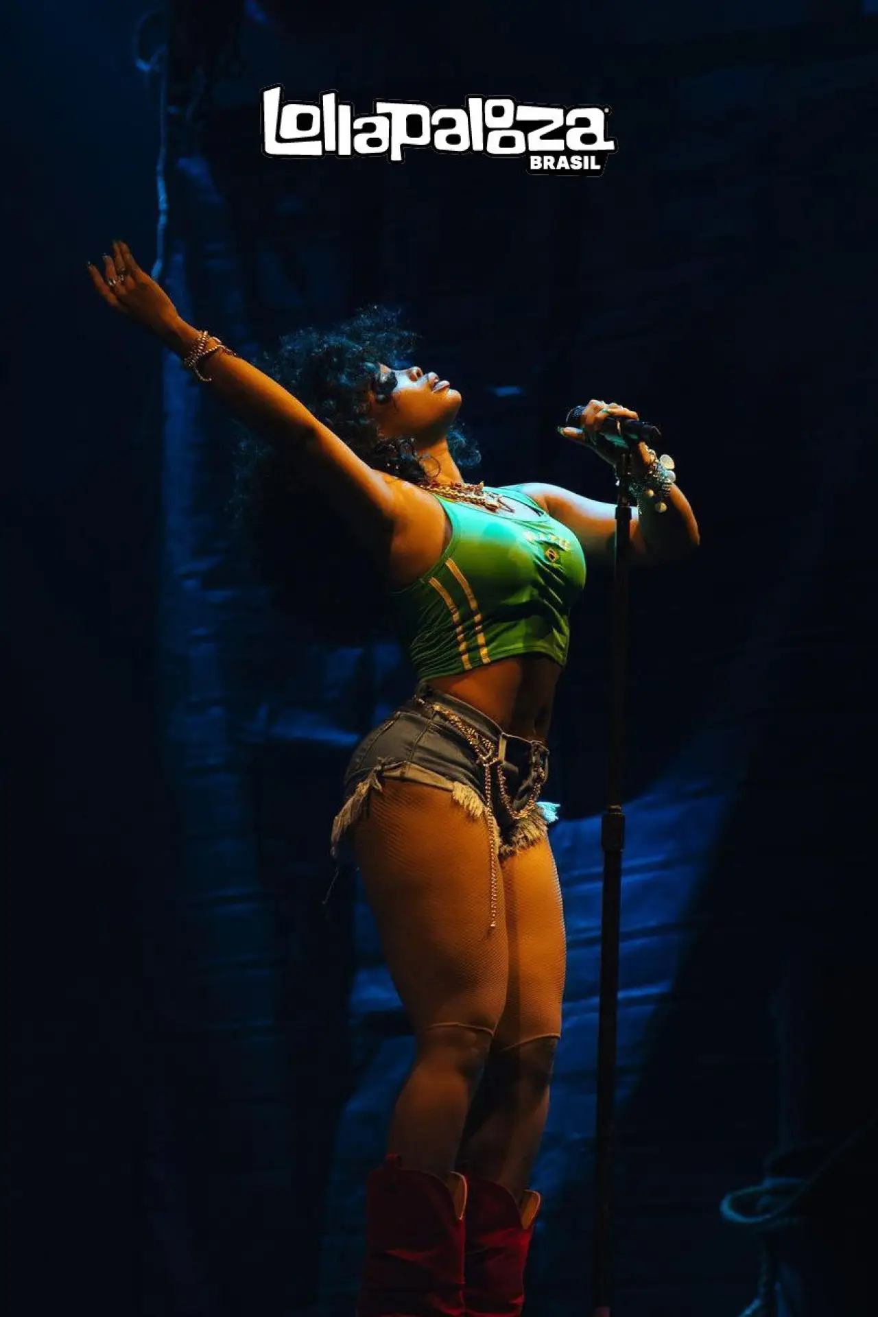 Постер к фильму "SZA: Live at Lollapalooza Brazil 2024"