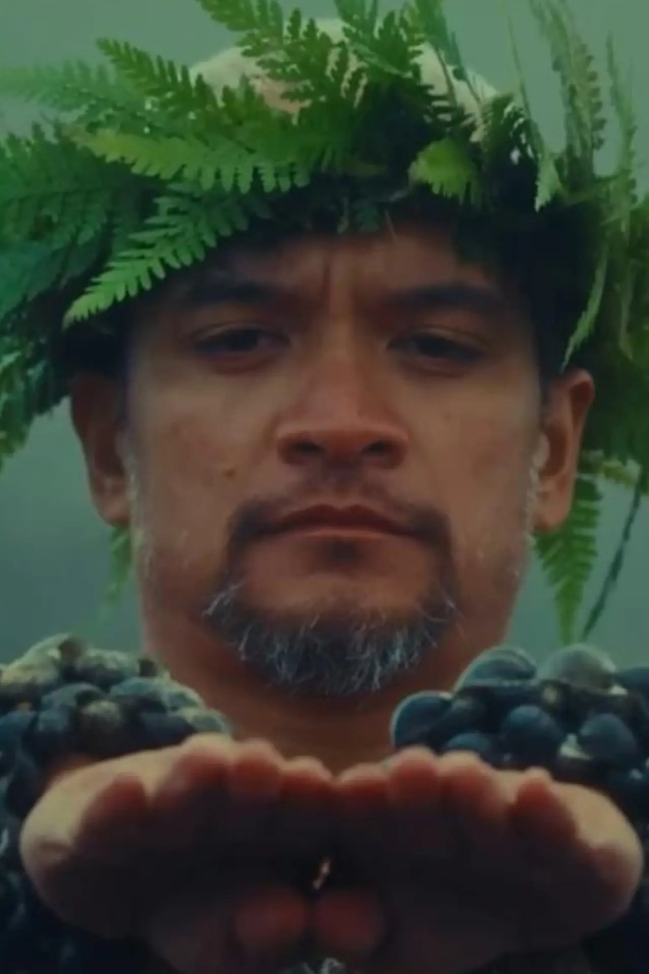 Постер к фильму "Hula is Hawaii"