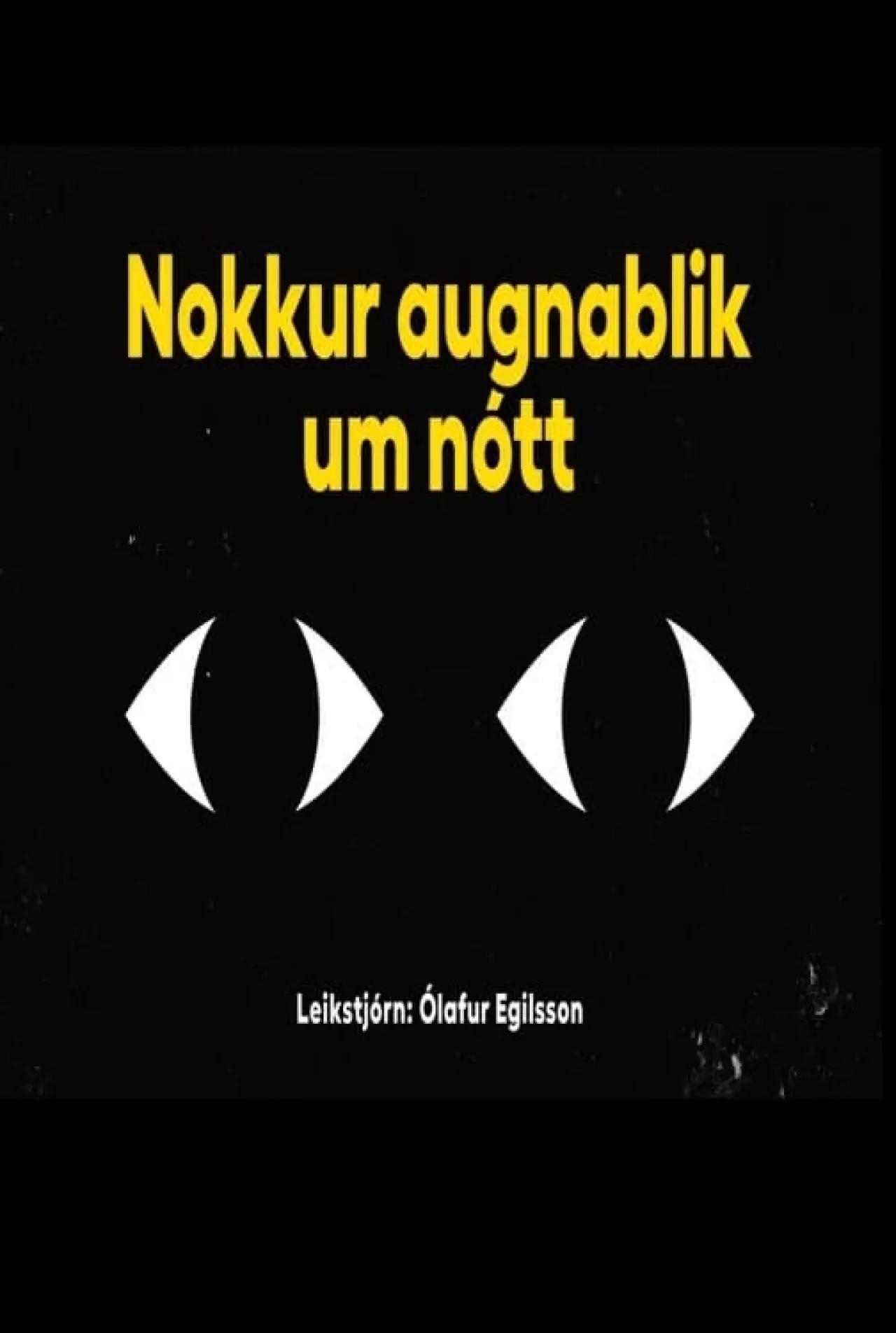 Постер к фильму "Nokkur augnablik um nótt"