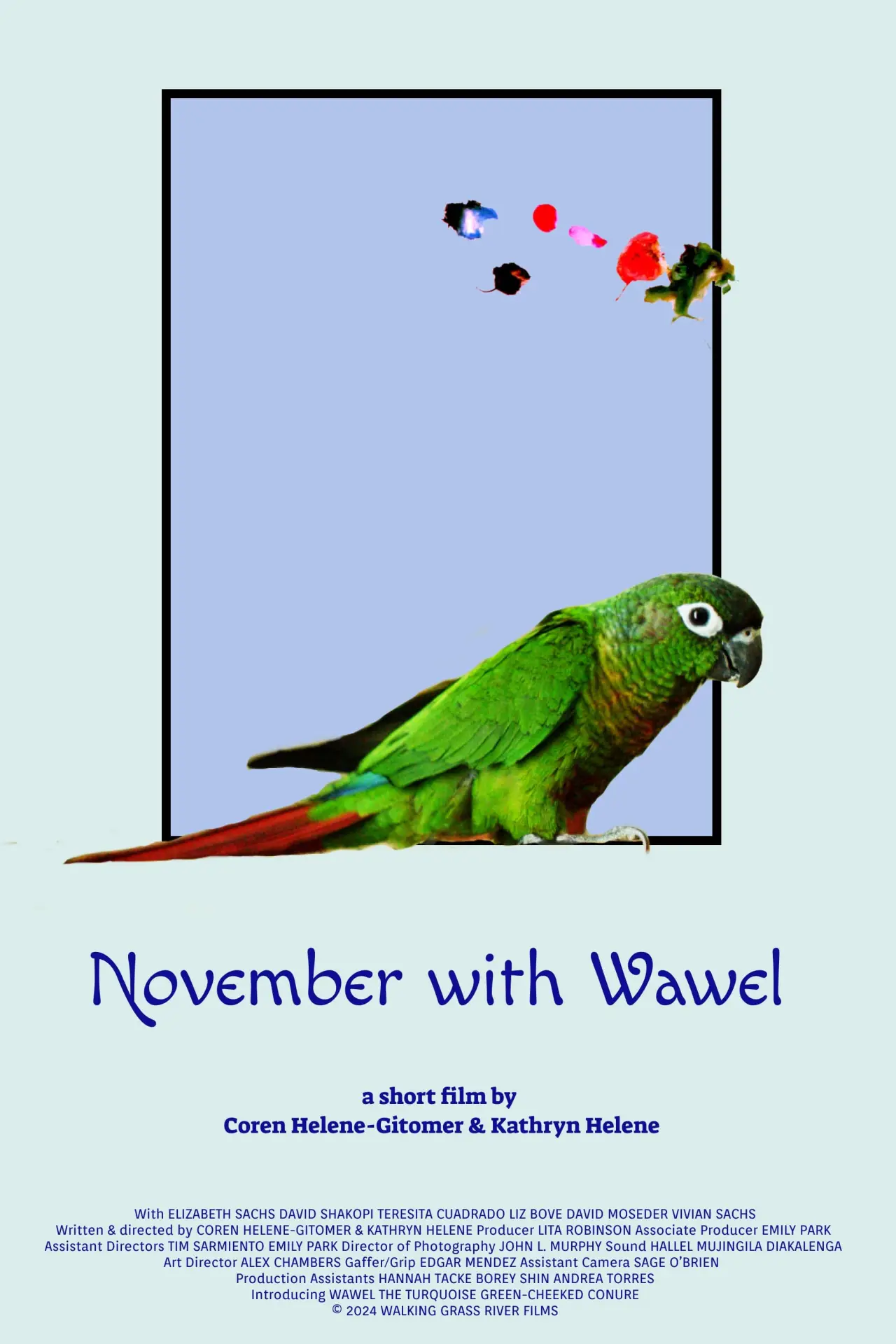 Постер к фильму "November with Wawel"
