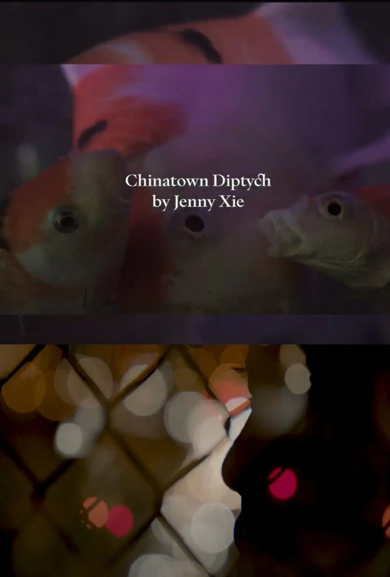 Постер к фильму "Chinatown Diptych"