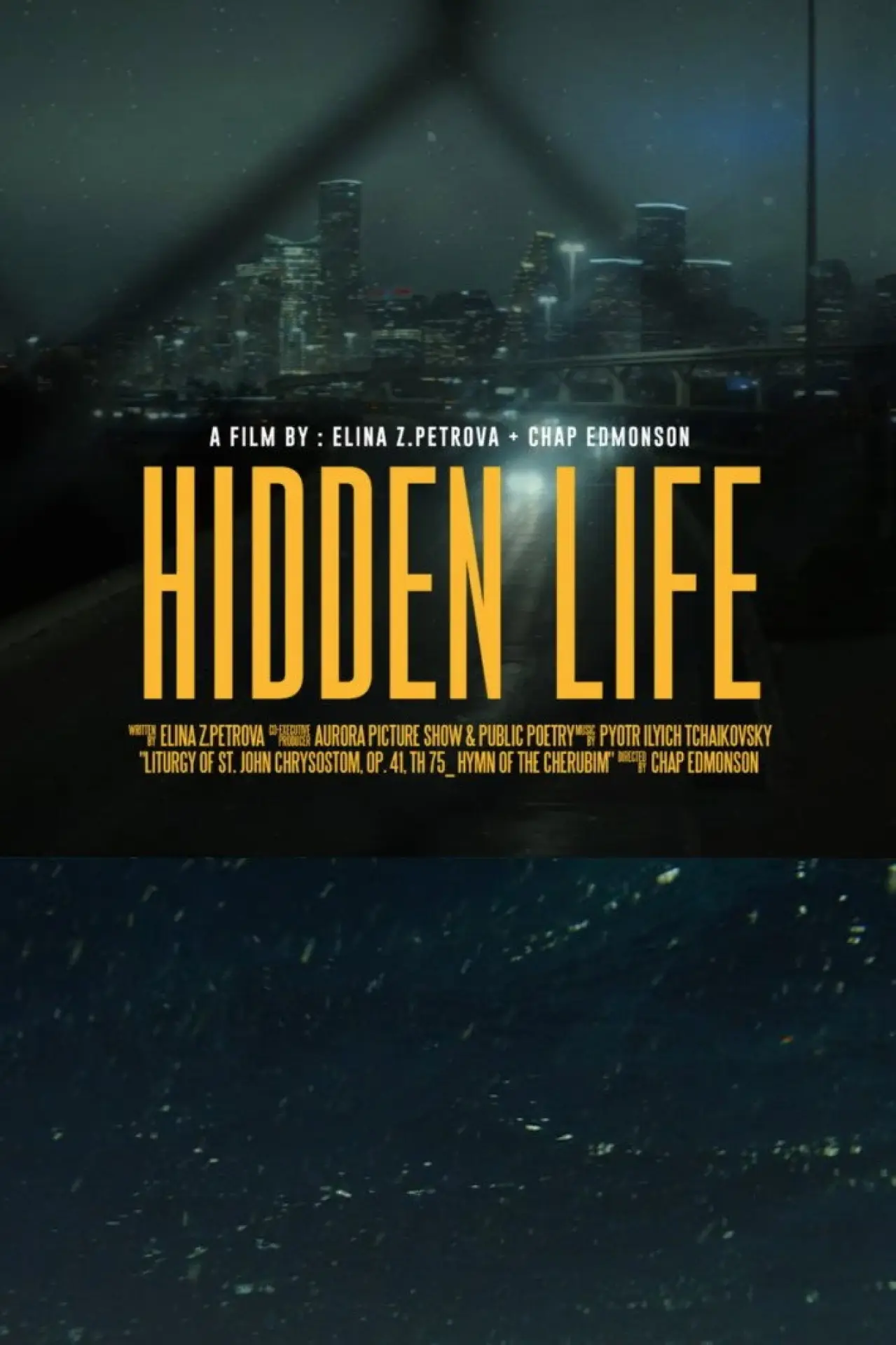 Постер к фильму "Hidden Life"