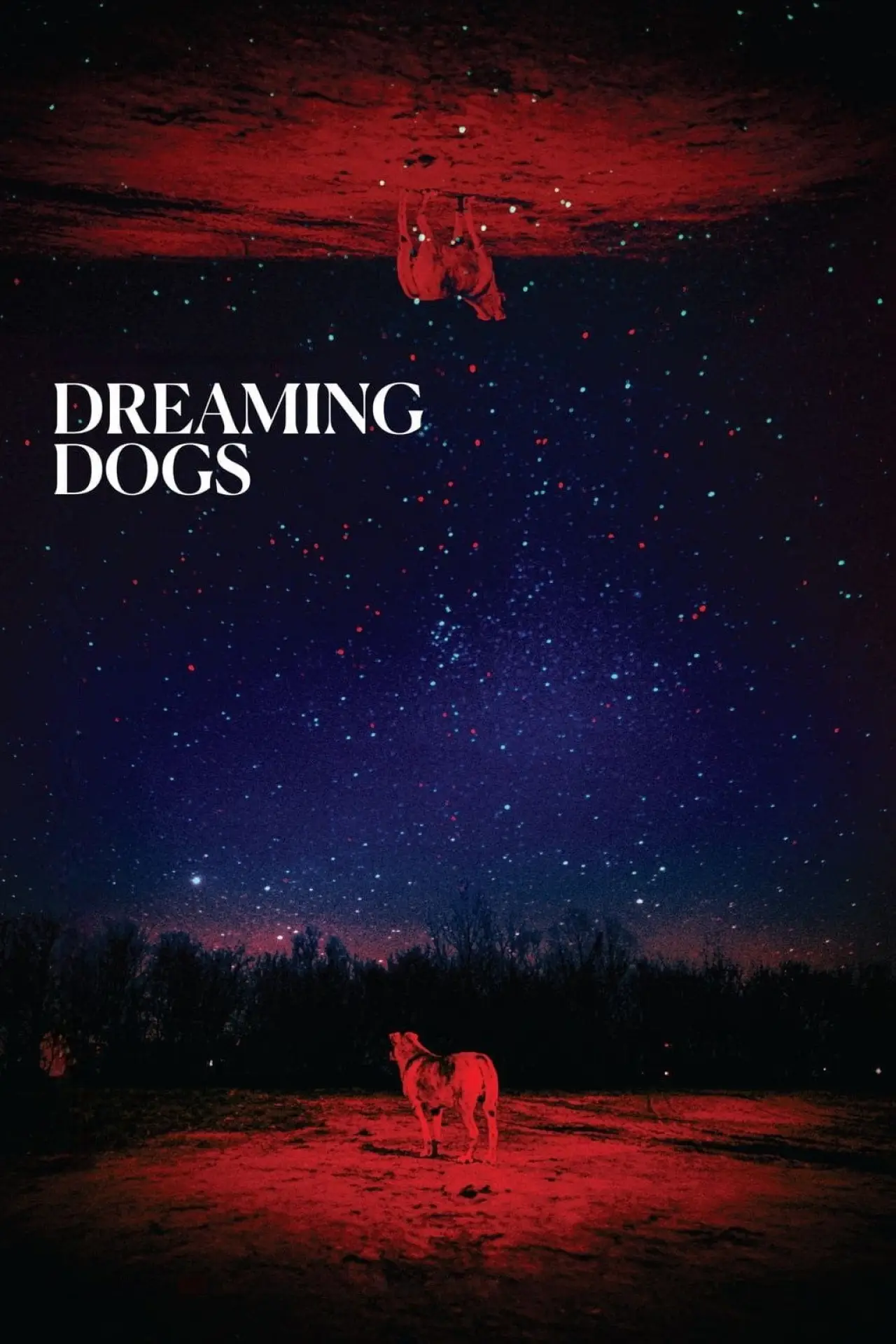 Постер к фильму "Dreaming Dogs"