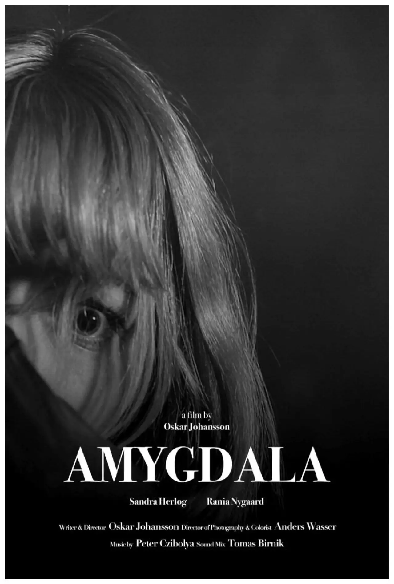 Постер к фильму "Amygdala"