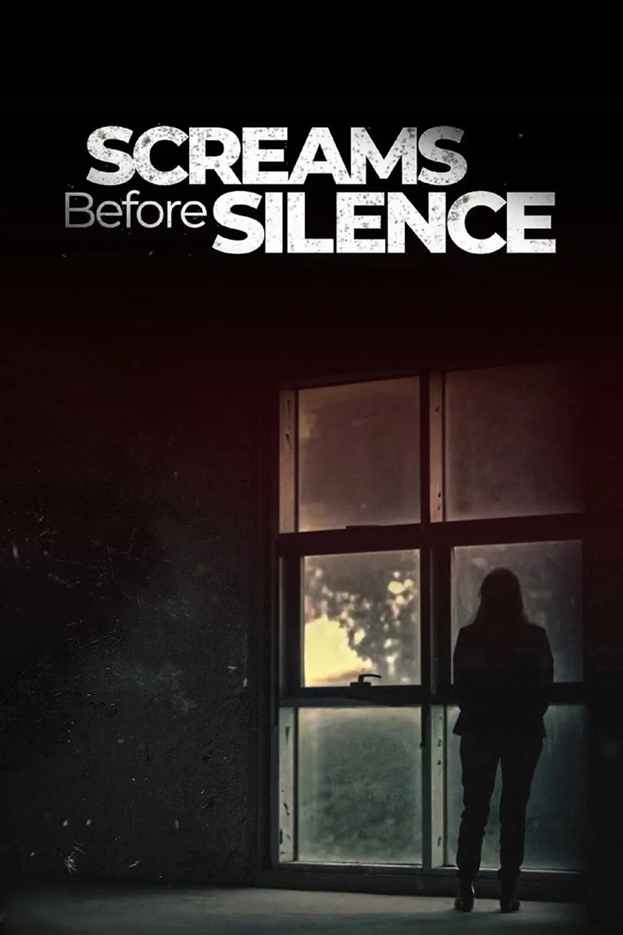 Постер к фильму "Screams Before Silence"
