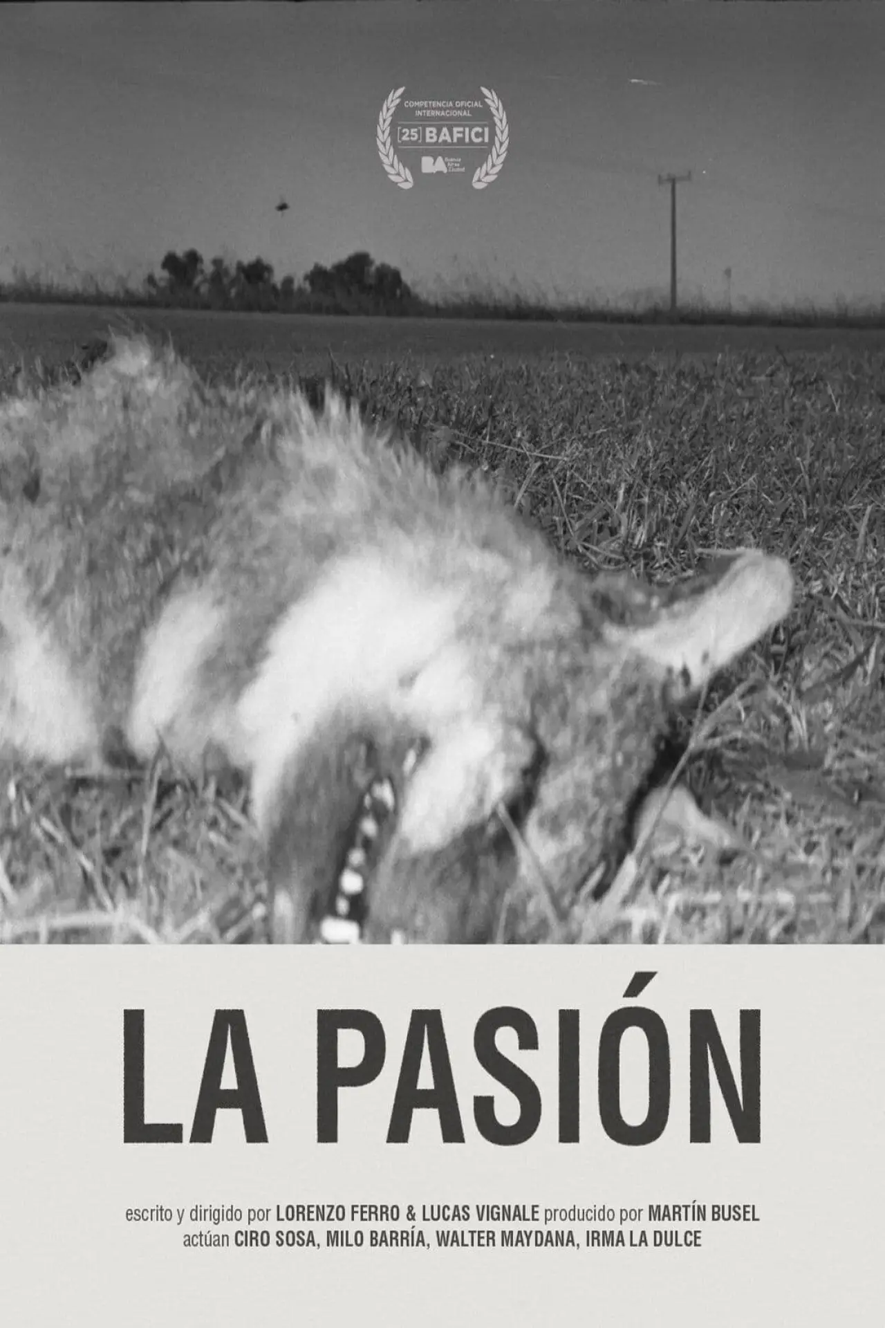 Постер к фильму "La pasión"
