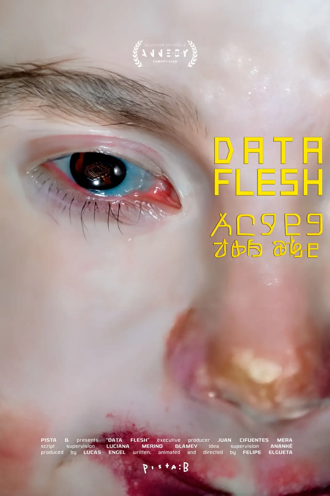 Постер к фильму "Data Flesh"