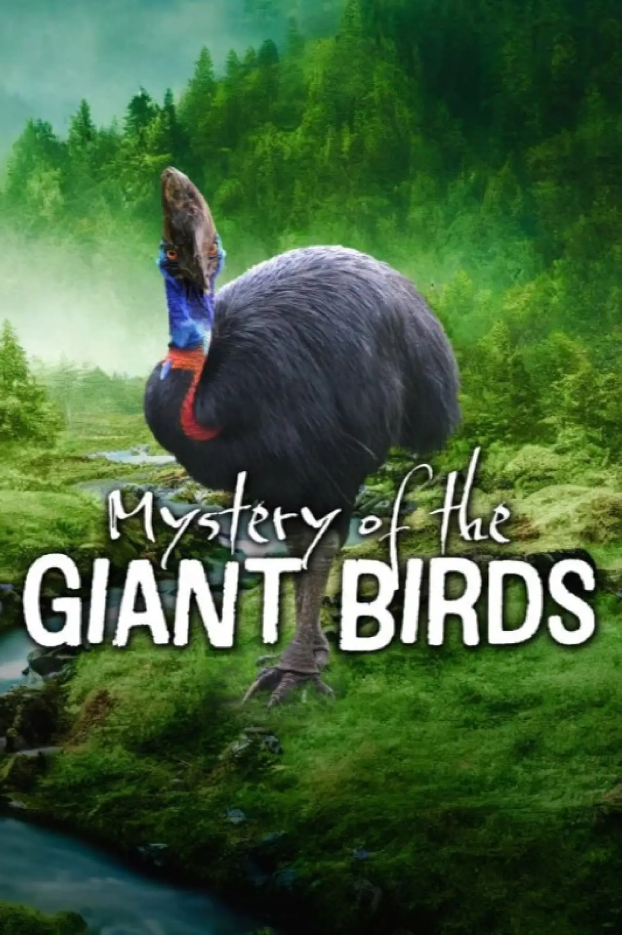 Постер к фильму "Le mystère des oiseaux géants"
