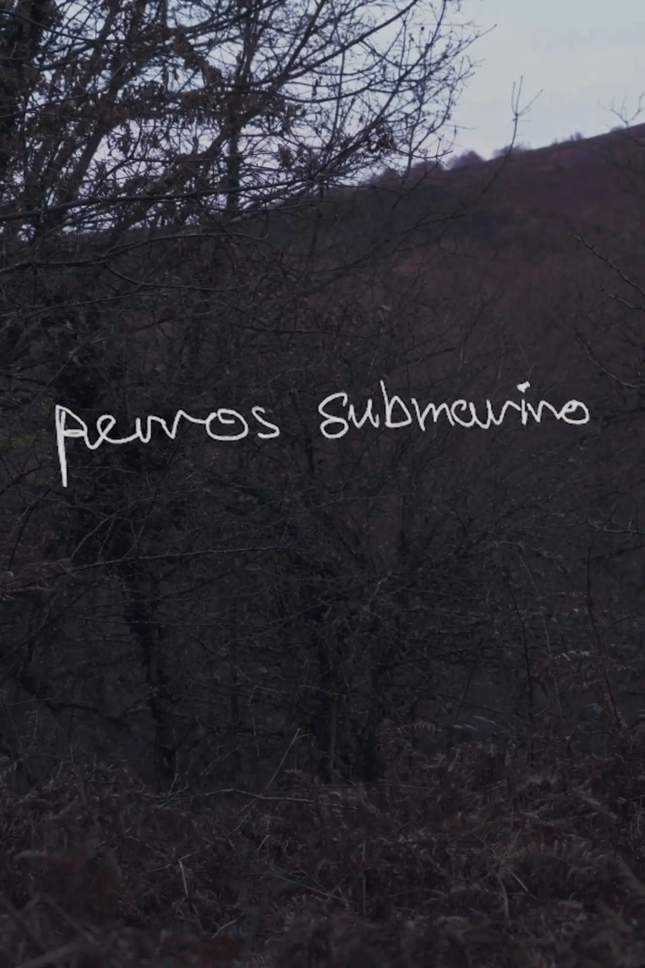 Постер к фильму "Perros submarino"