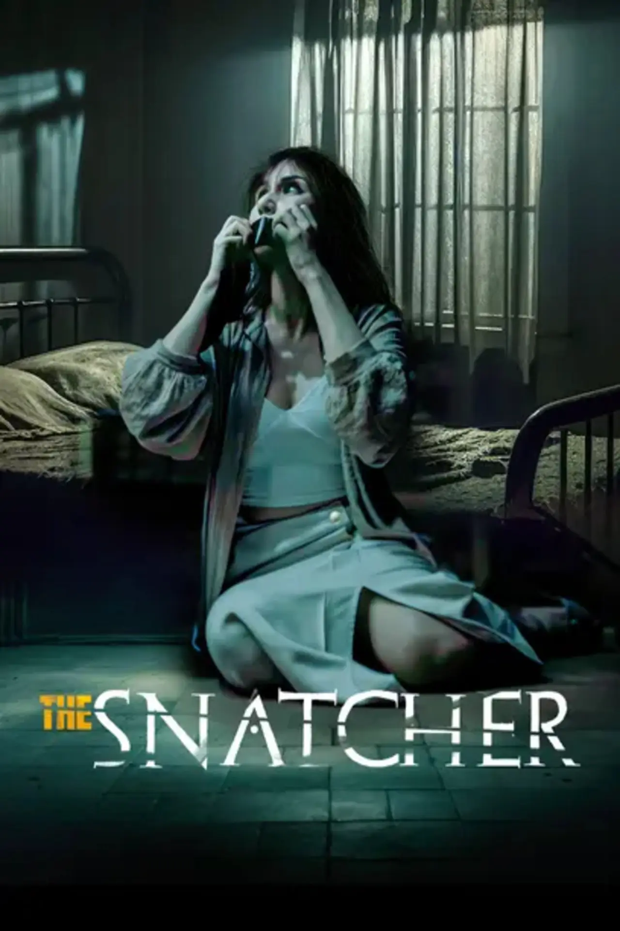 Постер к фильму "The Snatcher"