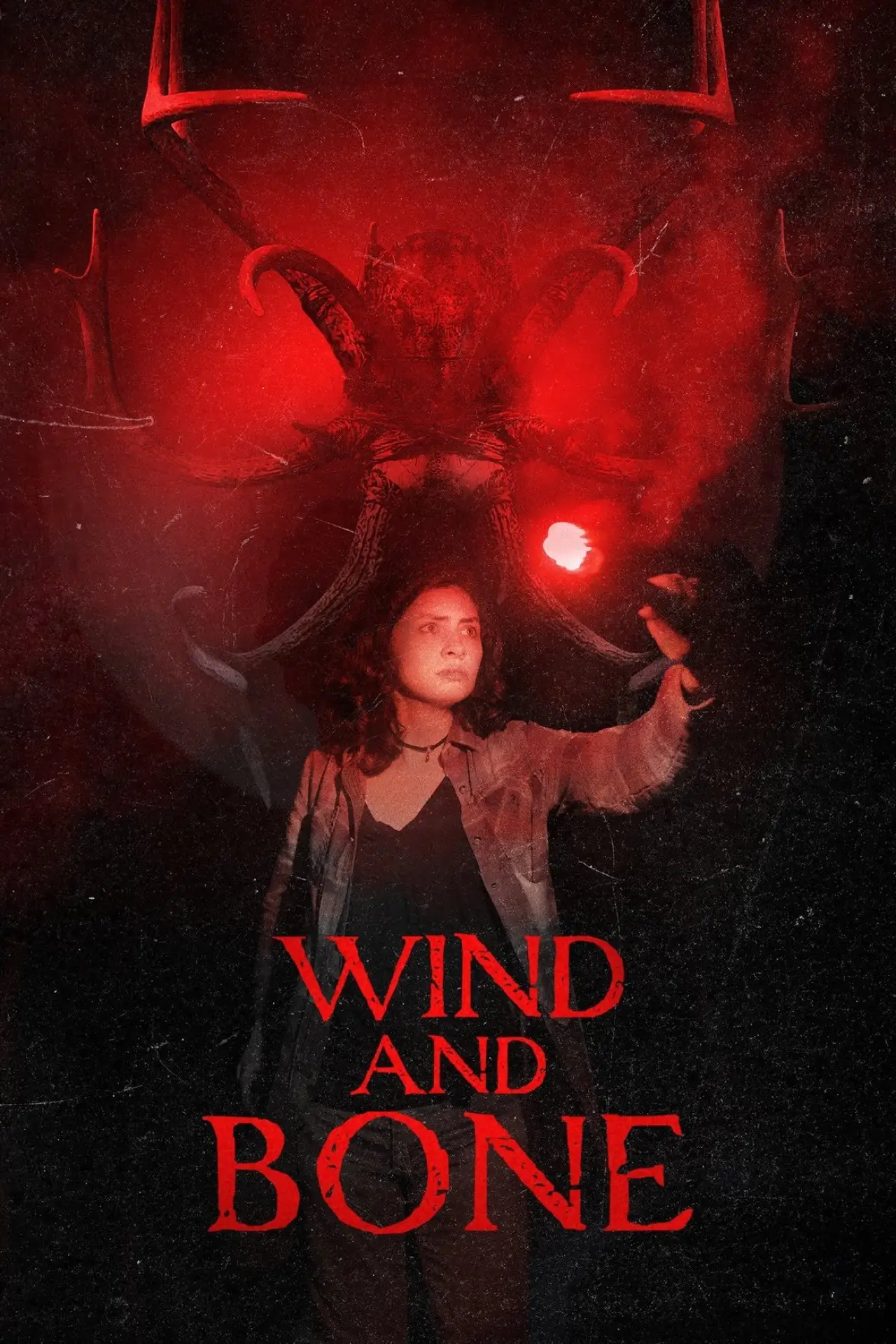 Постер к фильму "Wind and Bone"