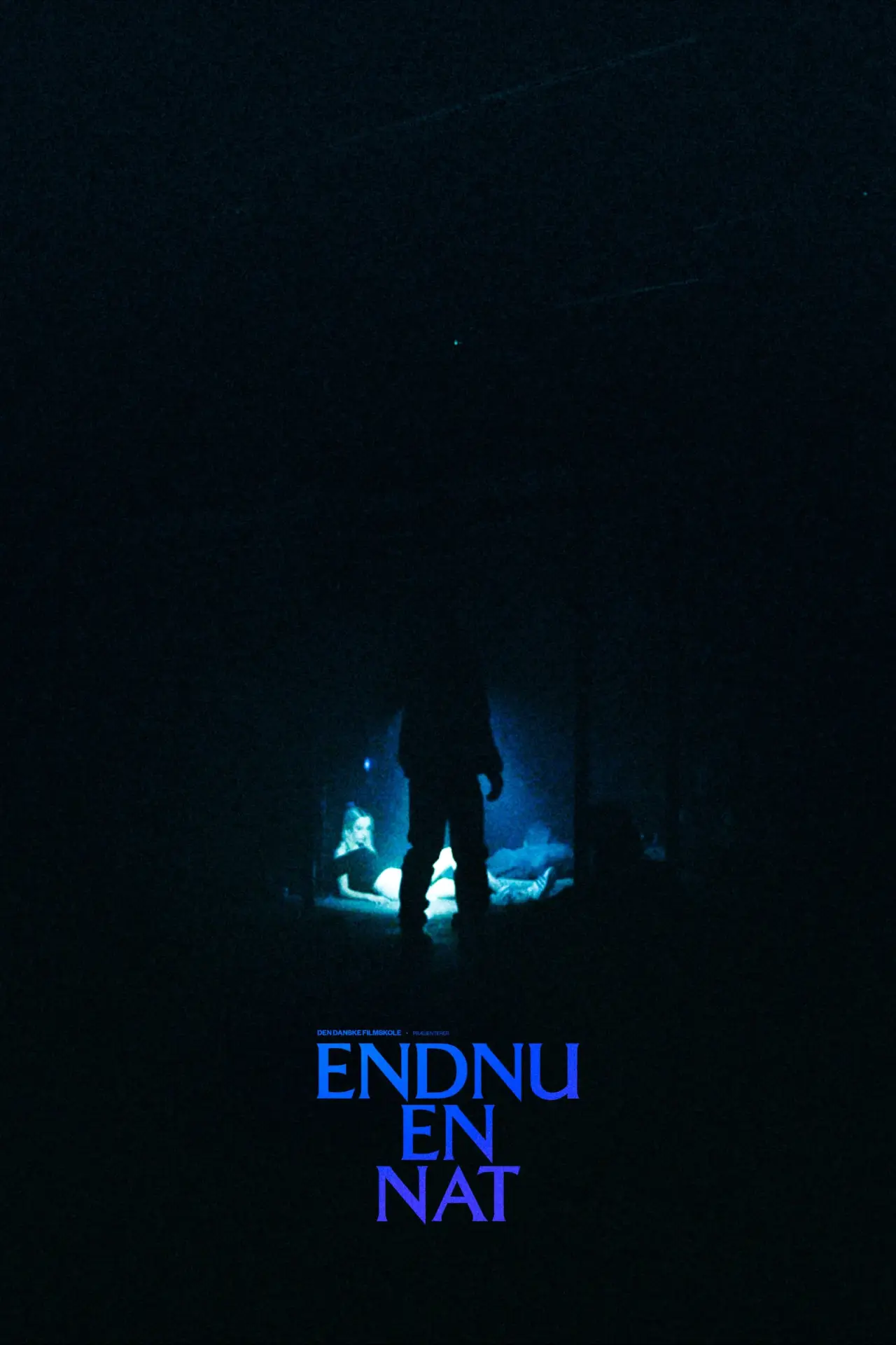 Постер к фильму "Endnu en nat"