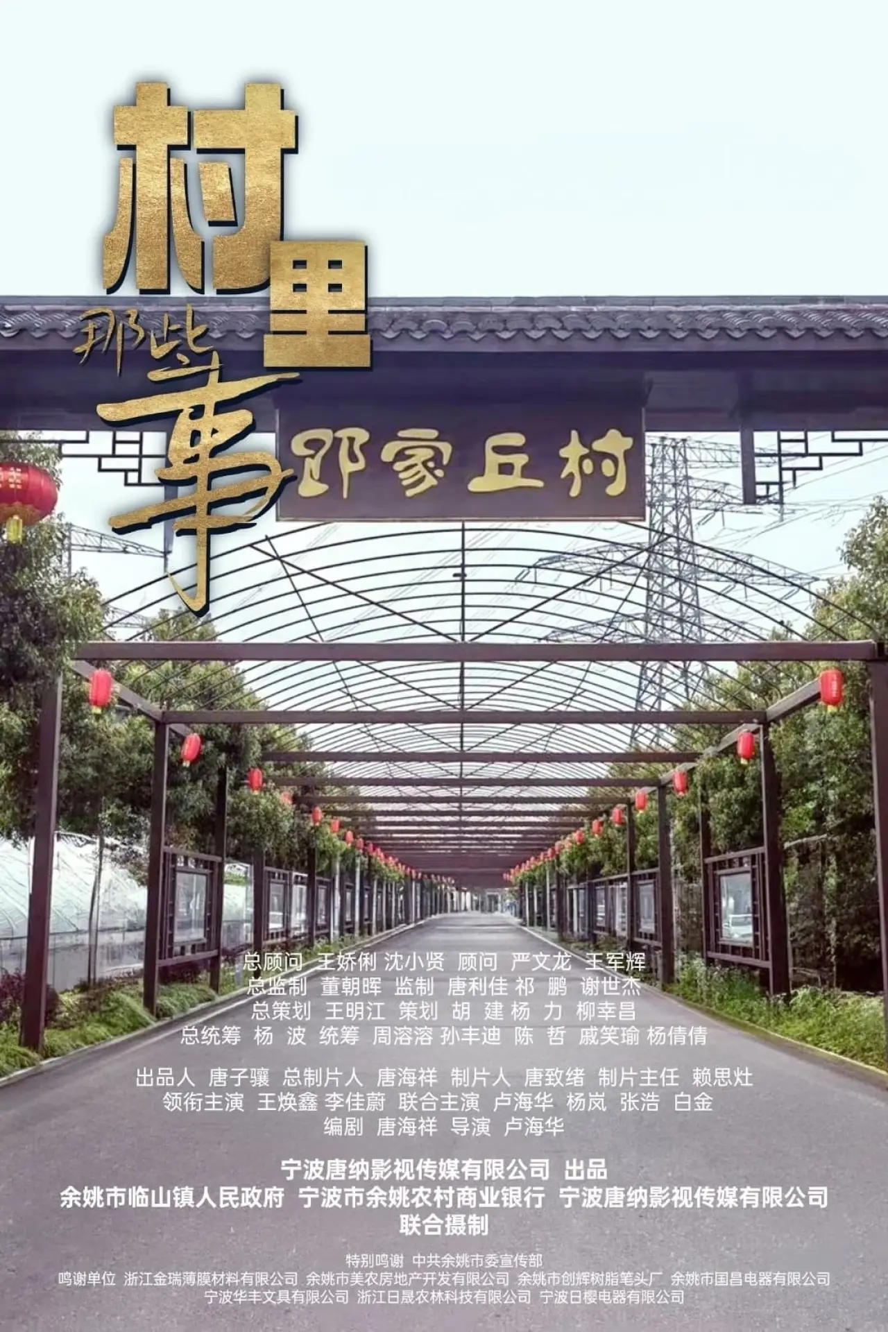 Постер к фильму "村里那些事"