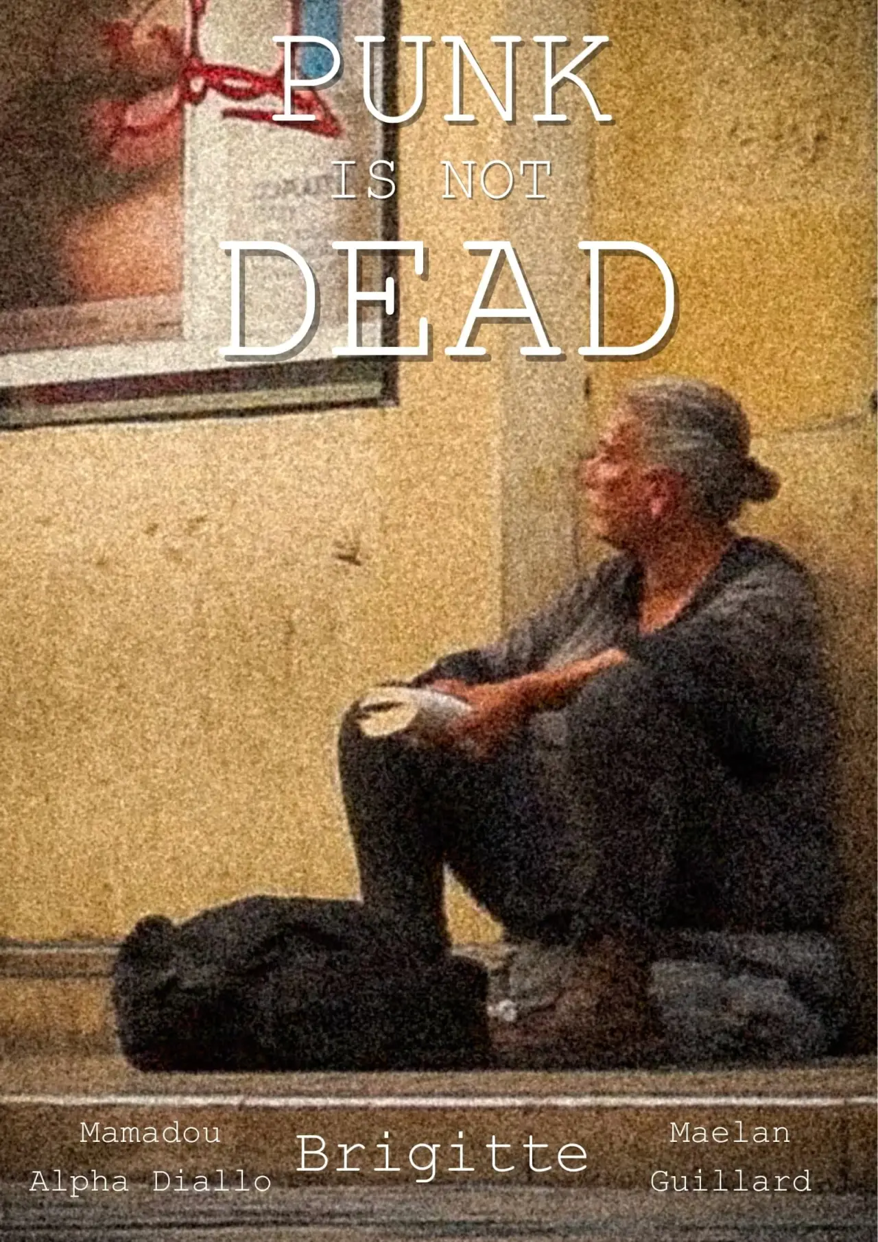 Постер к фильму "Punk is not dead"