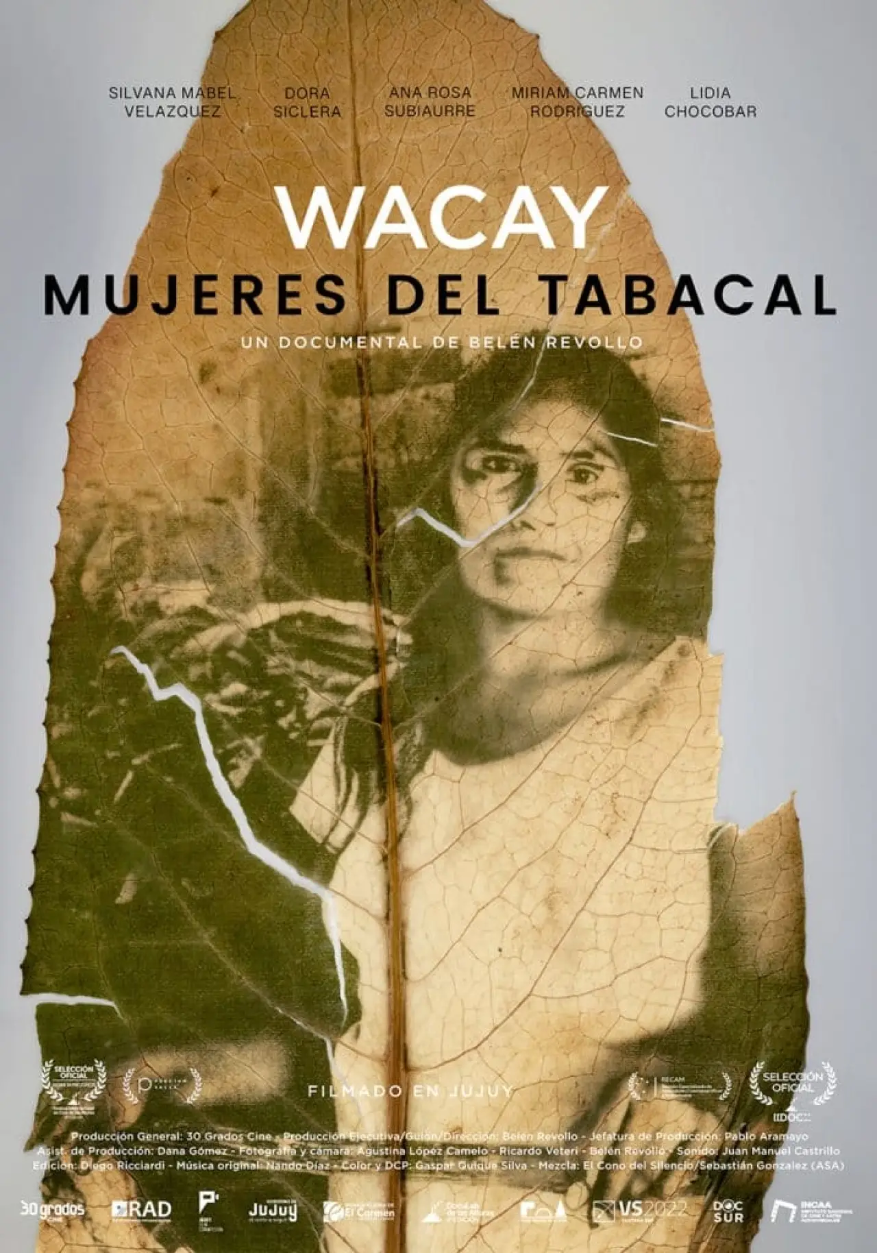 Постер к фильму "Wacay, mujeres del tabacal"