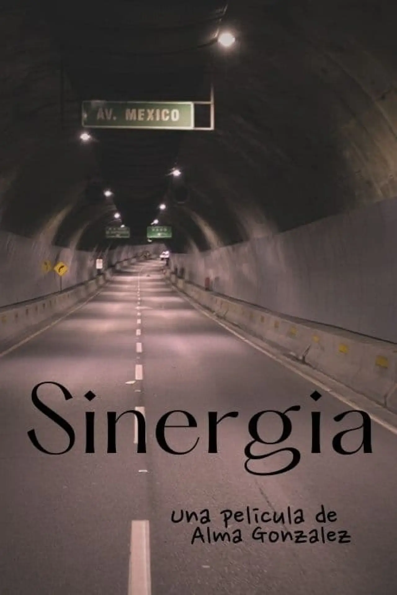 Постер к фильму "Sinergia"
