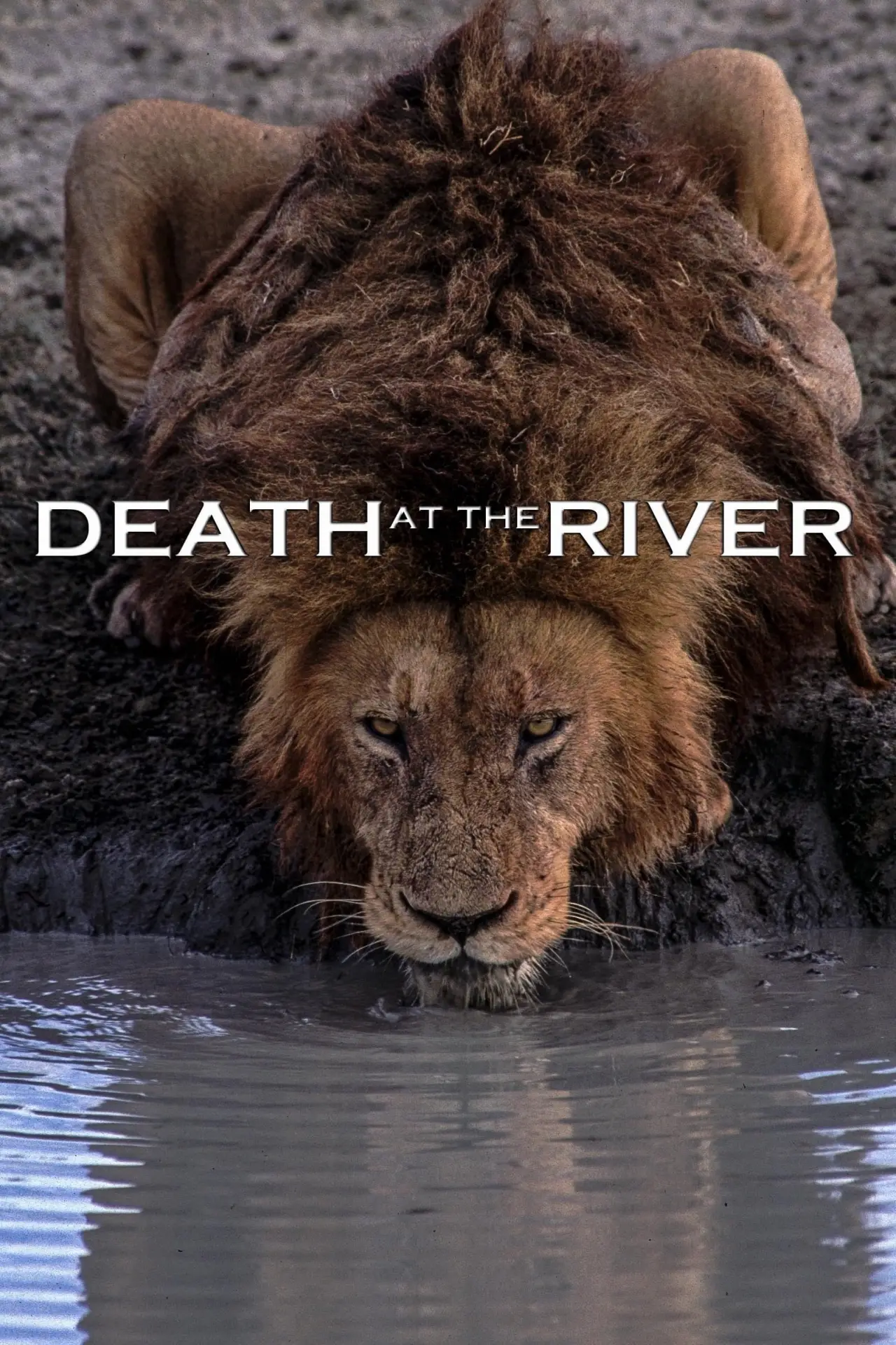 Постер к фильму "Death at the River"