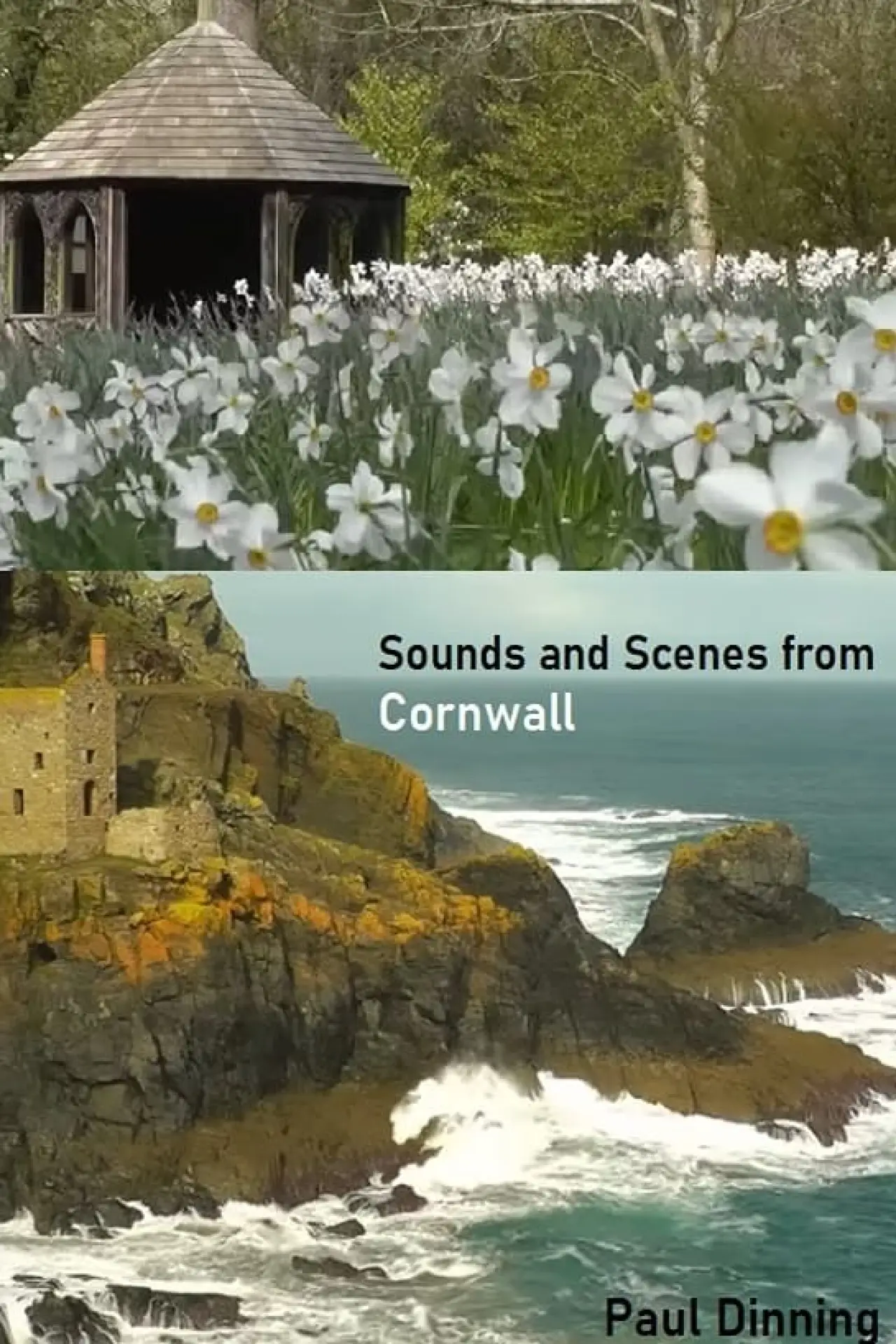 Постер к фильму "Sounds and Scenes from Cornwall"