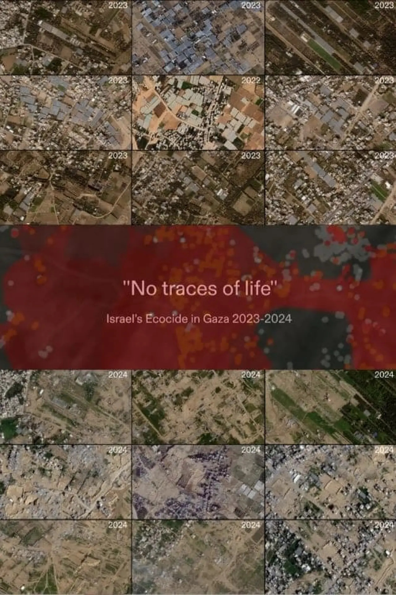 Постер к фильму "No Traces of Life"
