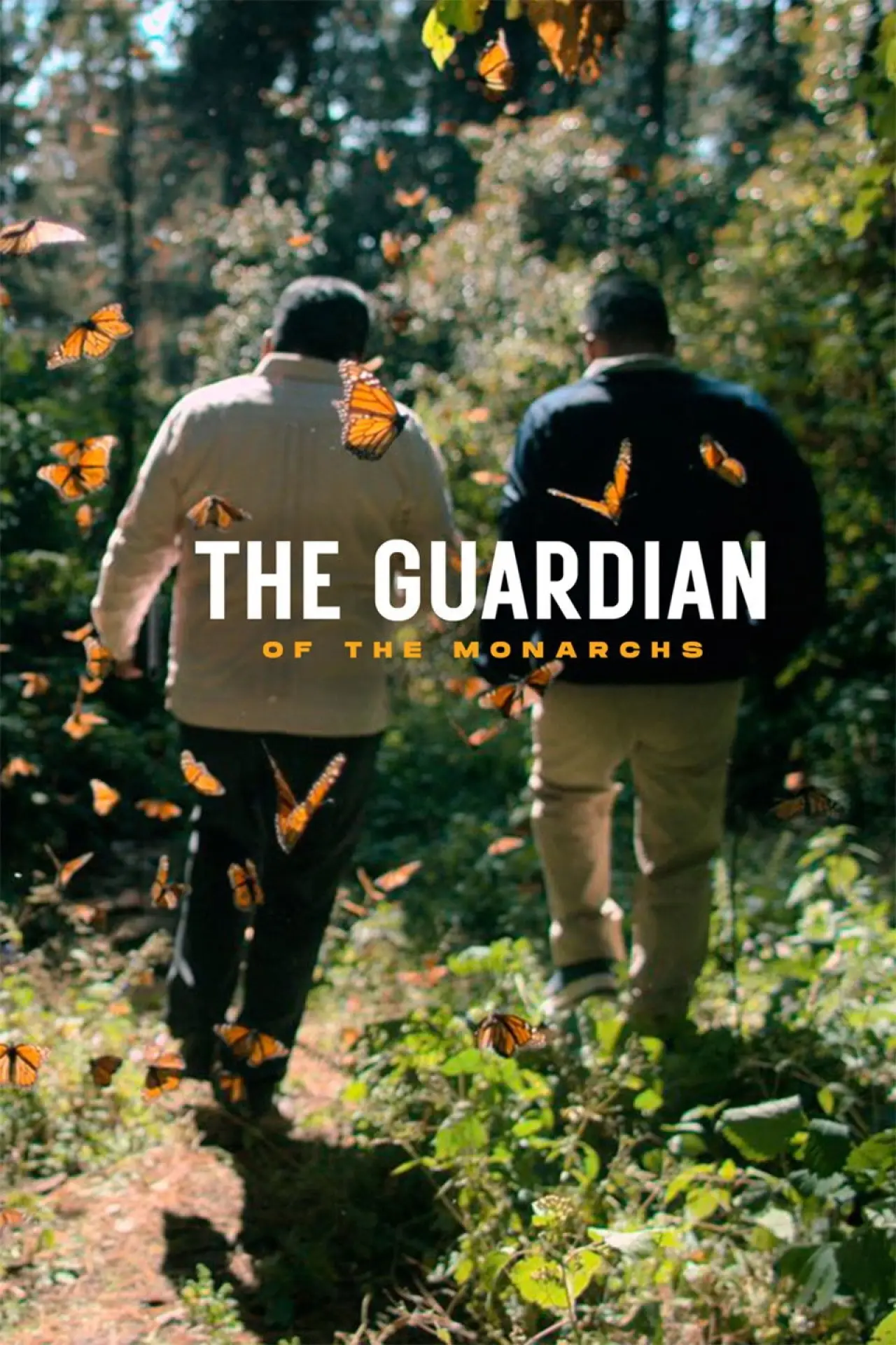 Постер к фильму "El Guardián de las Monarcas"