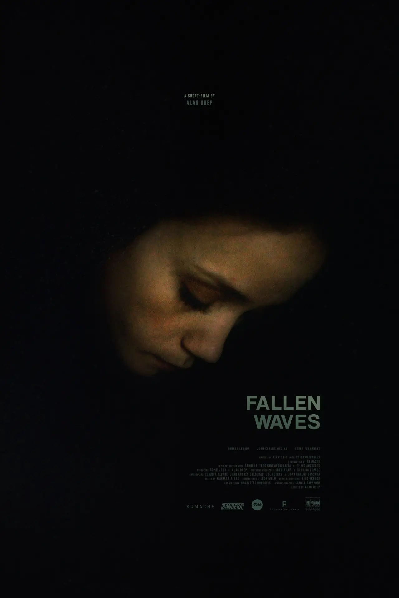 Постер к фильму "Fallen Waves"