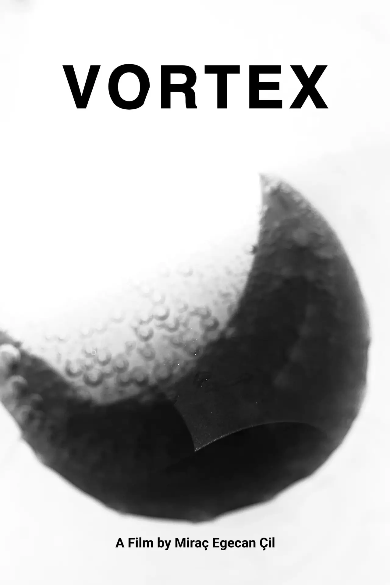 Постер к фильму "Vortex"