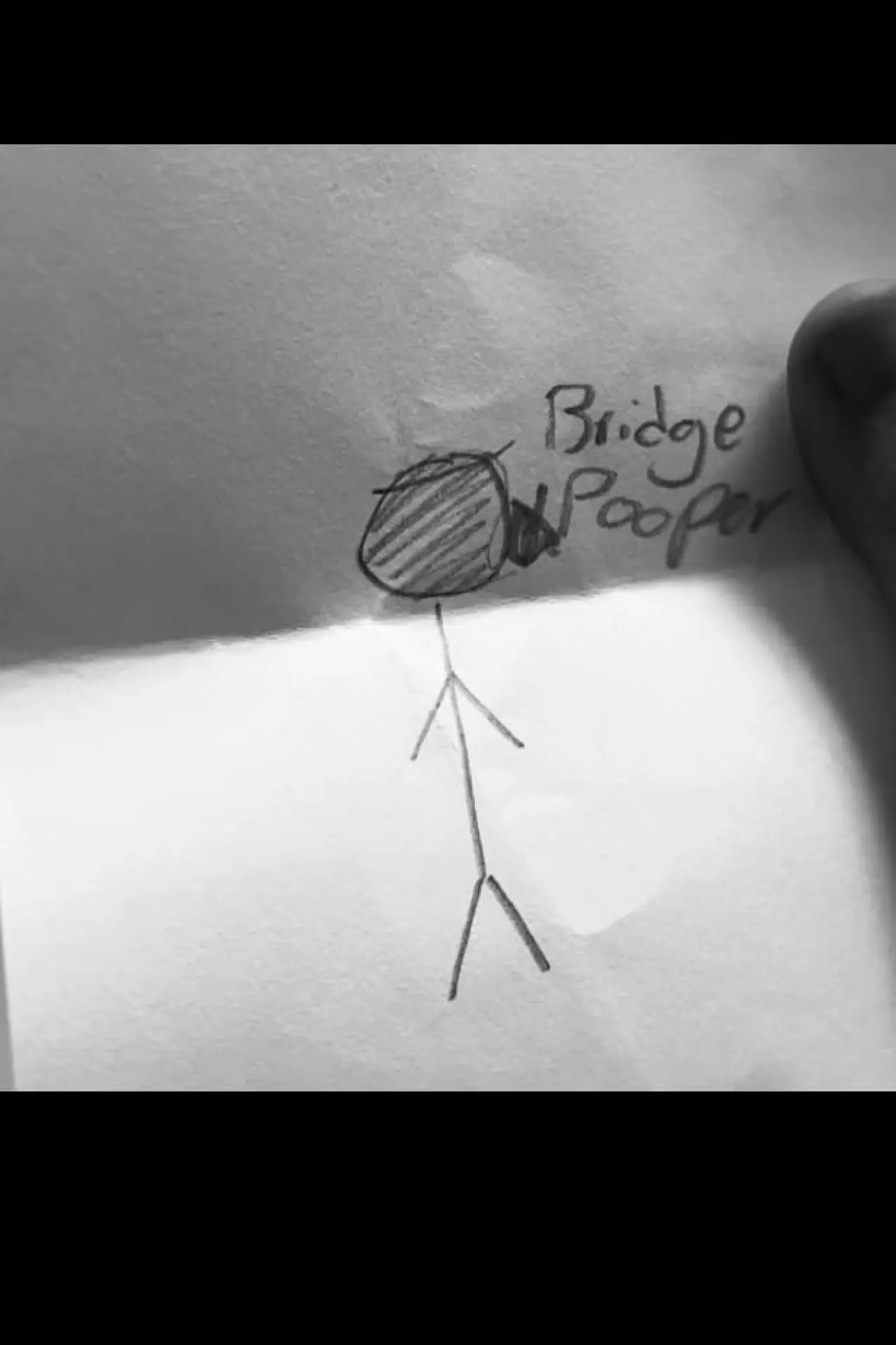 Постер к фильму "Bridge Pooper"