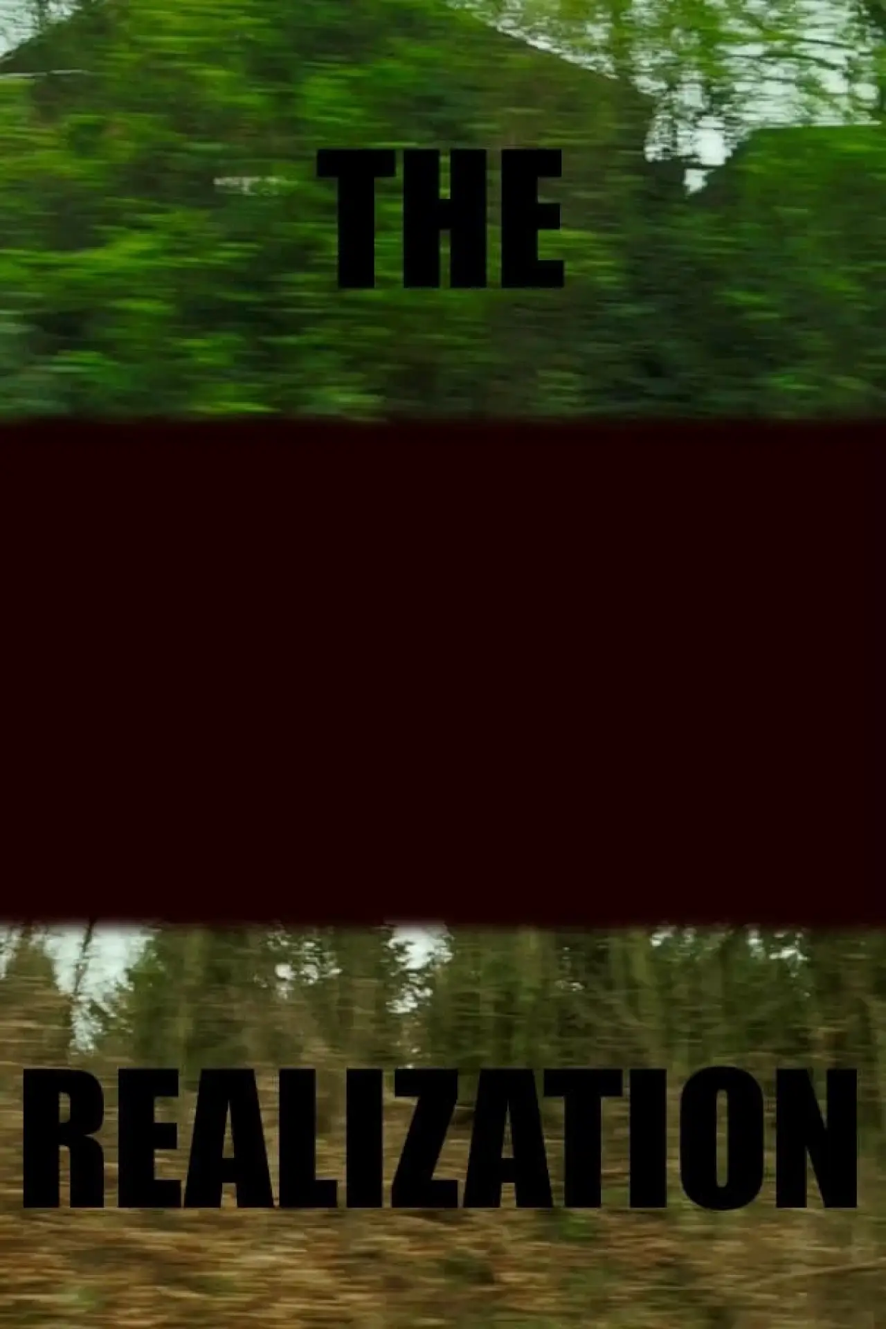 Постер к фильму "The realization"