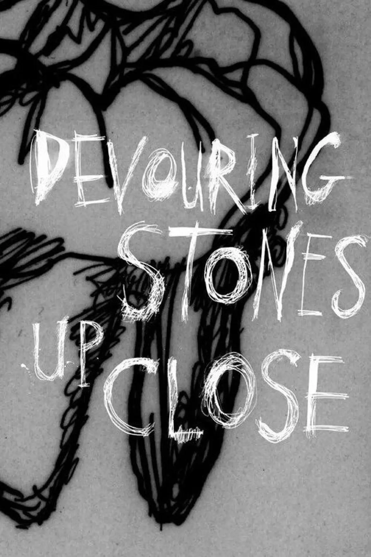 Постер к фильму "Devouring Stones Up Close"