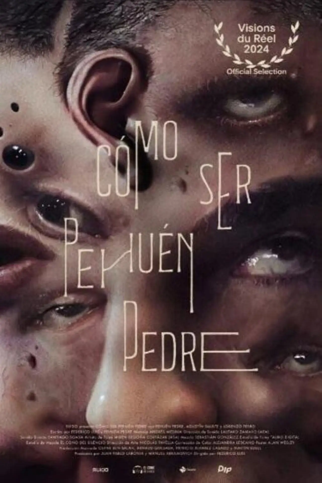Постер к фильму "Cómo ser Pehuén Pedre"