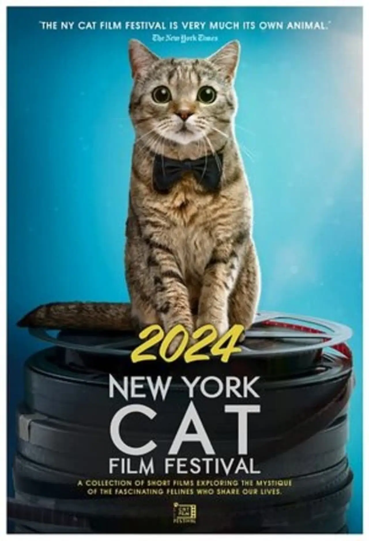 Постер к фильму "2024 New York Cat Film Festival"