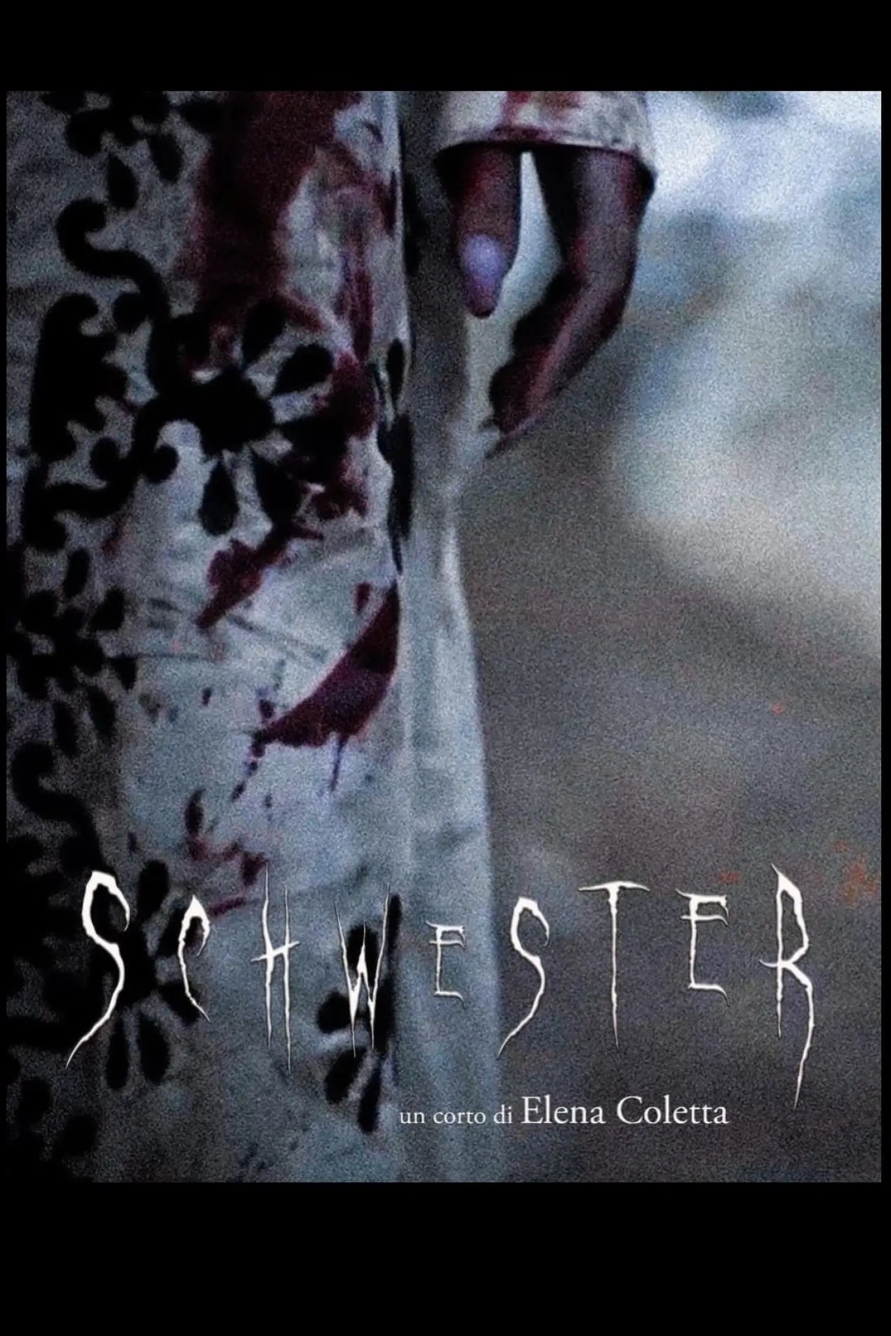 Постер к фильму "Schwester"