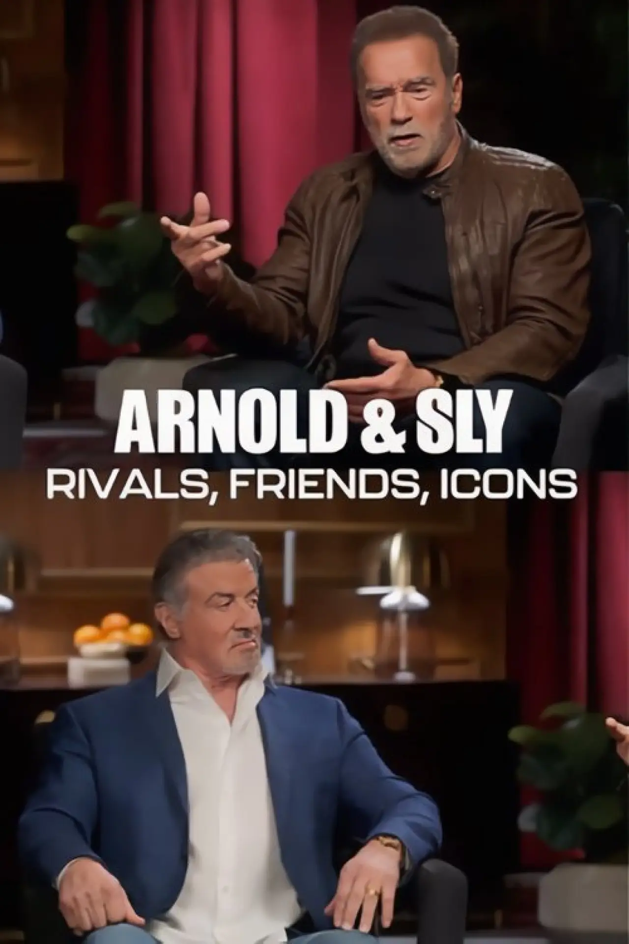 Постер к фильму "Arnold & Sly: Rivals, Friends, Icons"