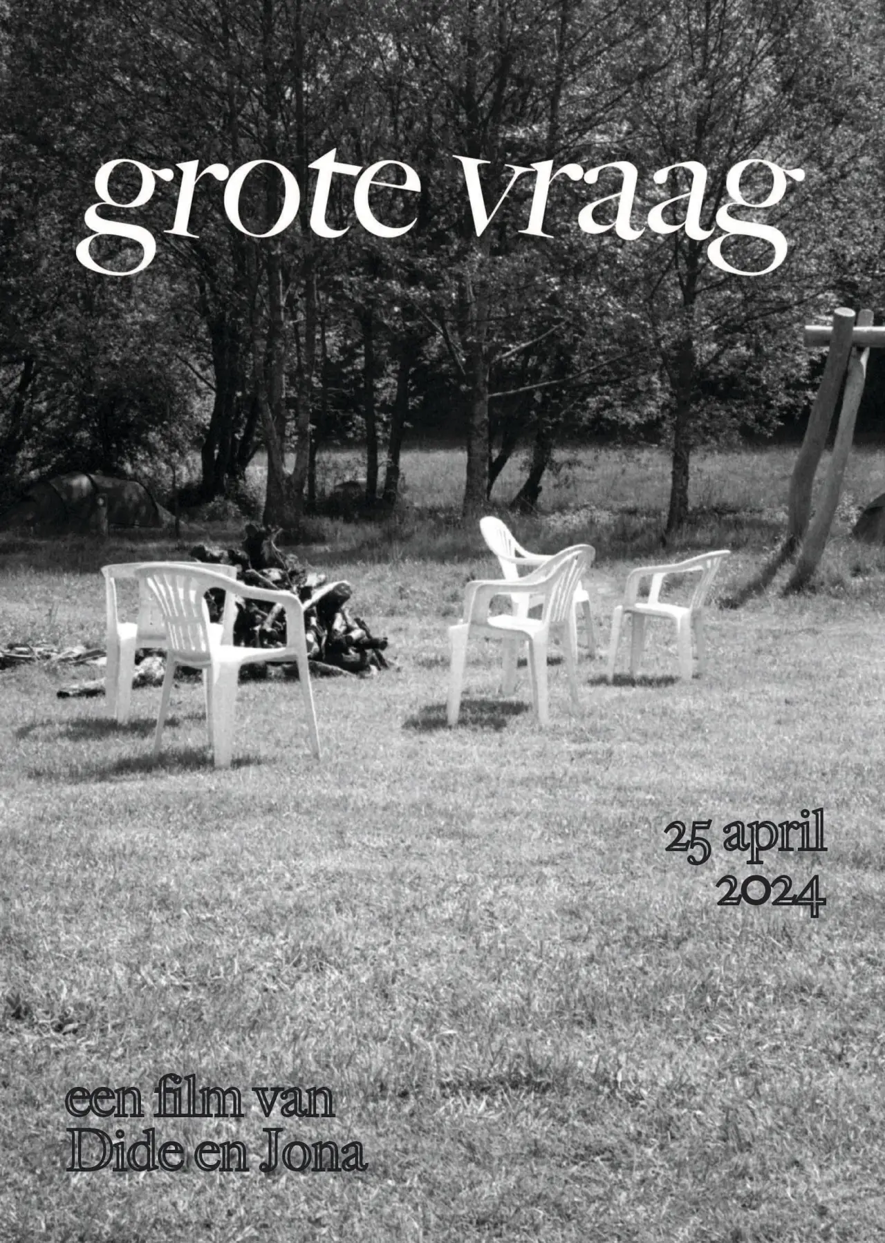 Постер к фильму "Grote Vraag"