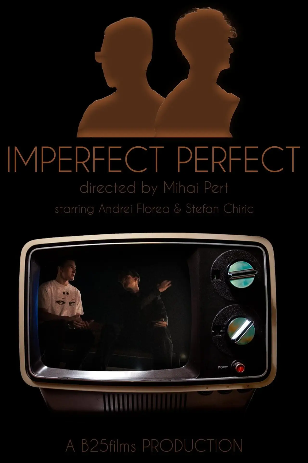 Постер к фильму "Imperfect Perfect"
