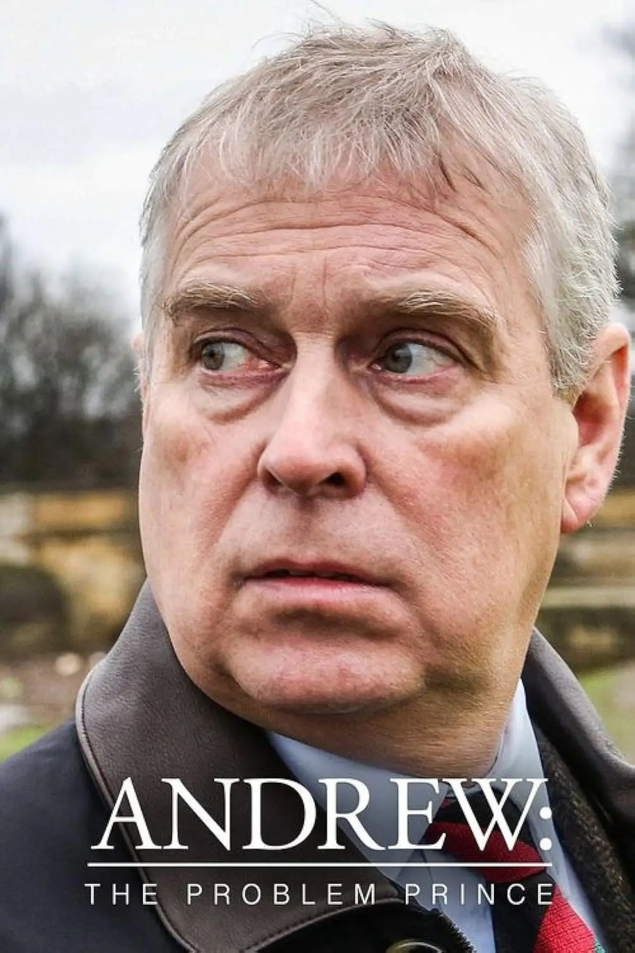 Постер к фильму "Andrew: The Problem Prince"