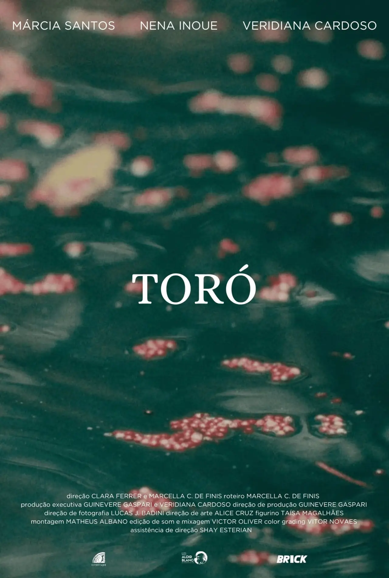 Постер к фильму "Toró"