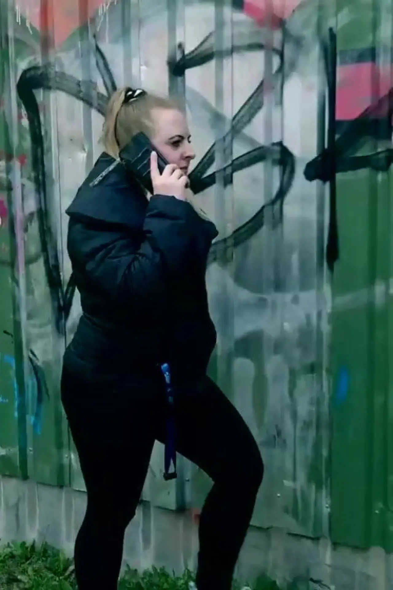Постер к фильму "Flicka söker hund"
