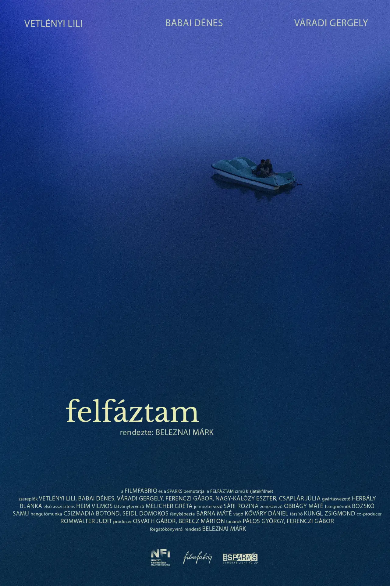 Постер к фильму "Felfáztam"